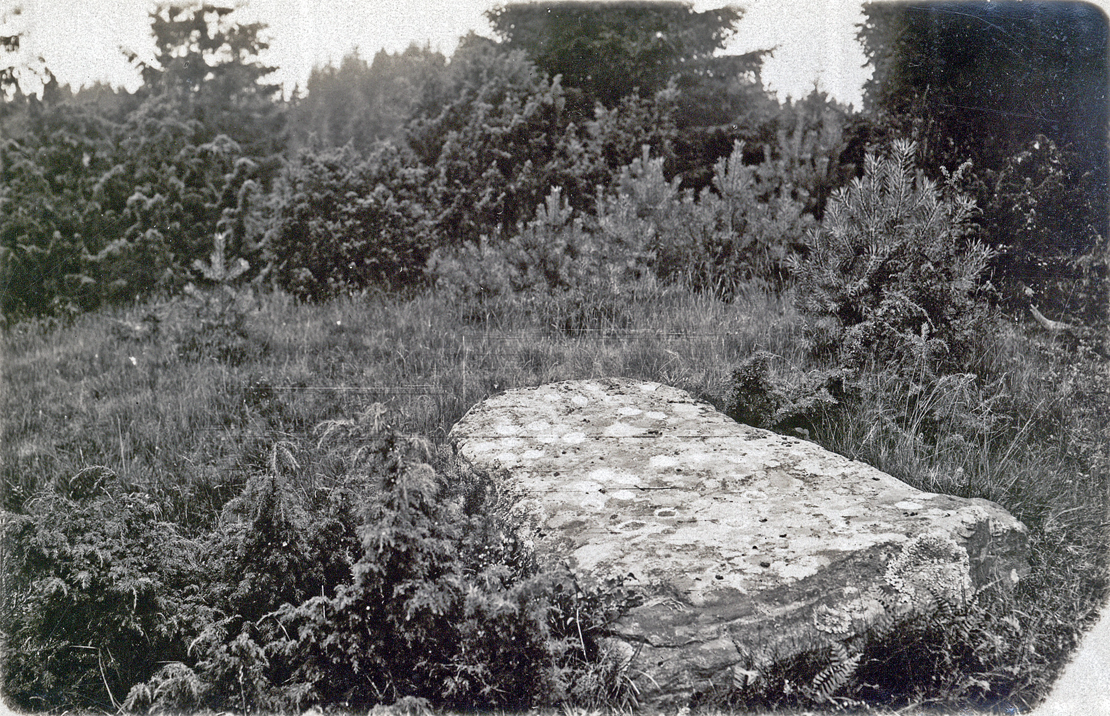 Köpestad Svarteborg