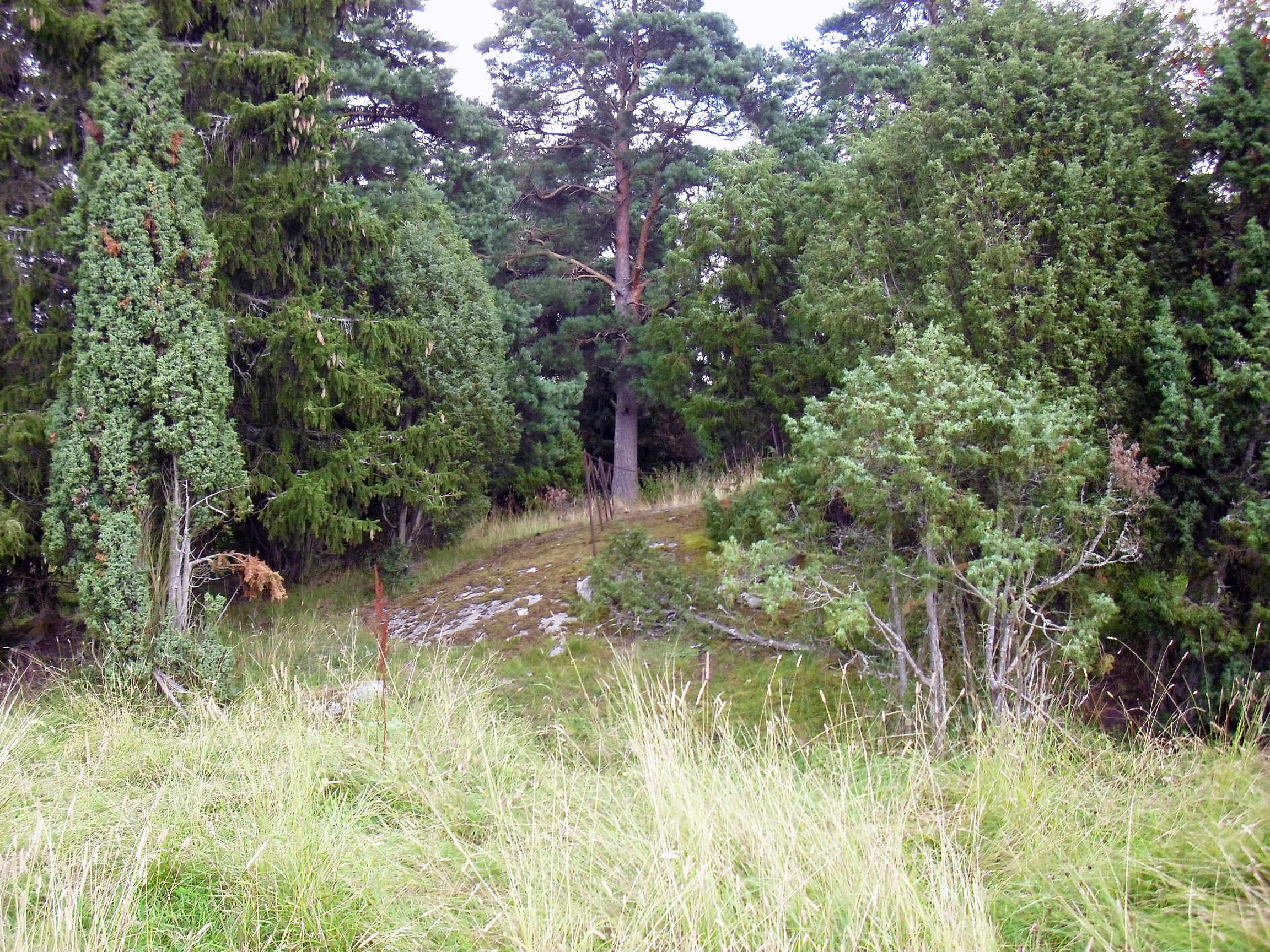 Biskopskulla Berg