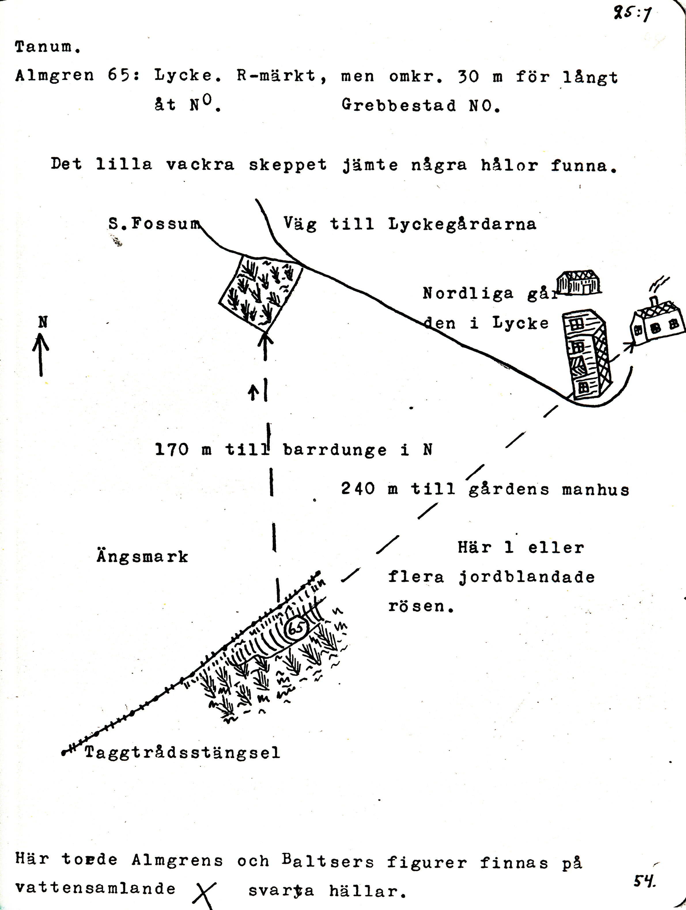 Lycke Tanum