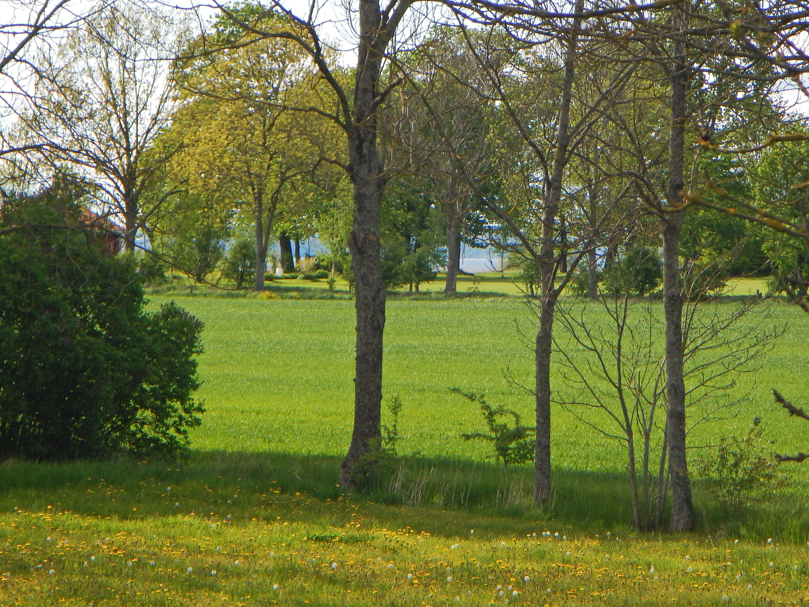 Gärstad Rystad