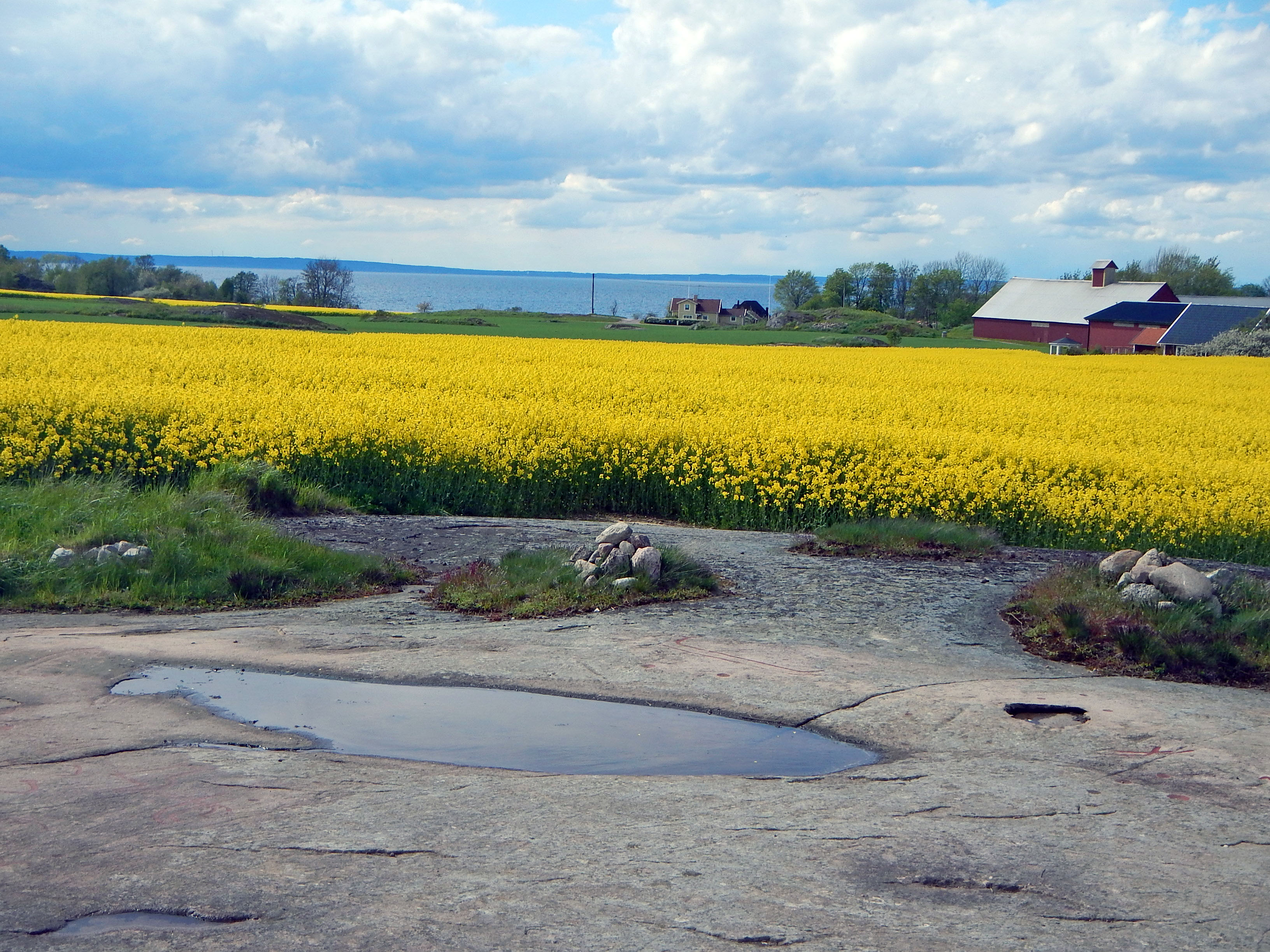 Hästholmen Västra Tollstad