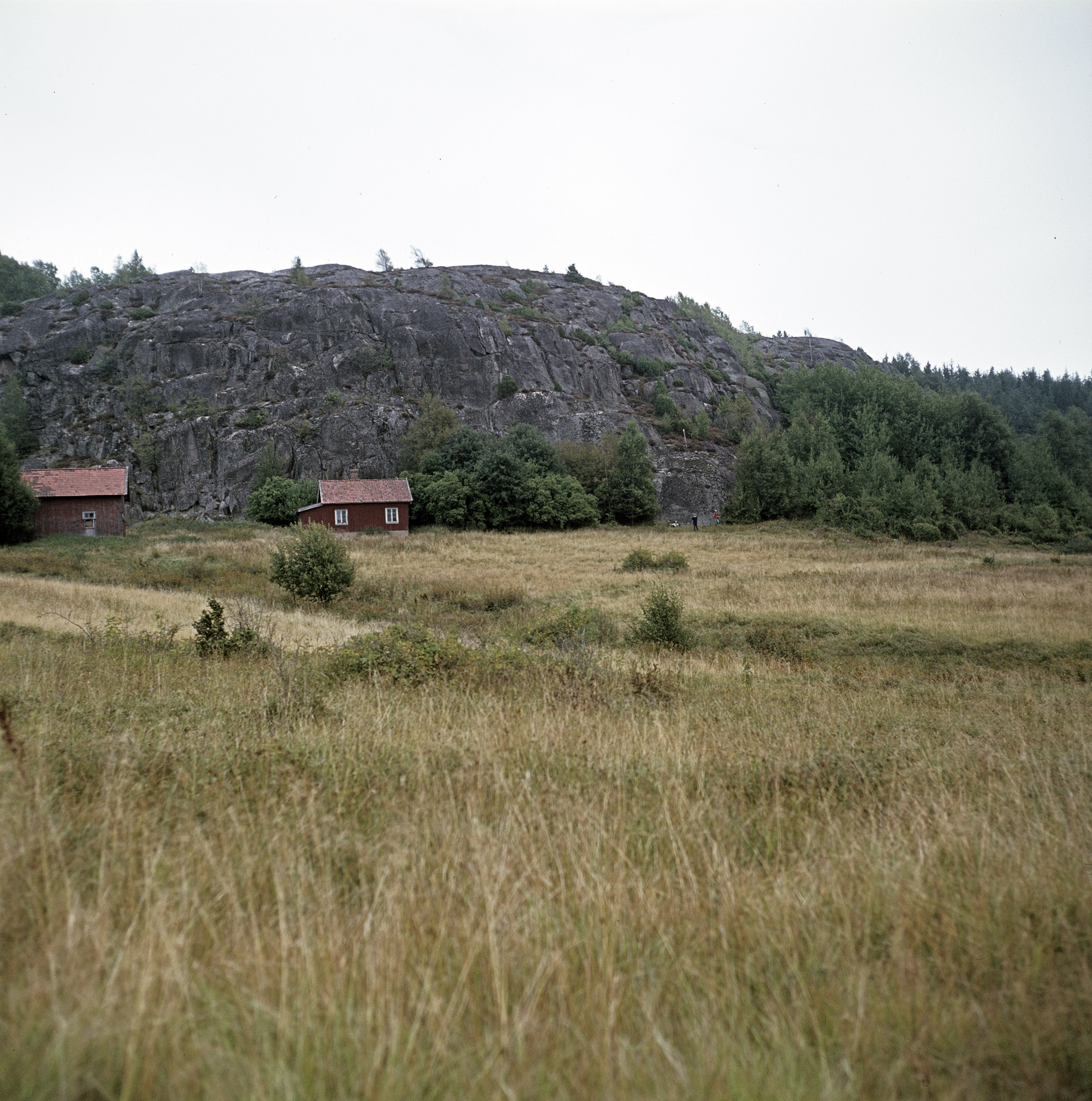 Trättelanda Tanum