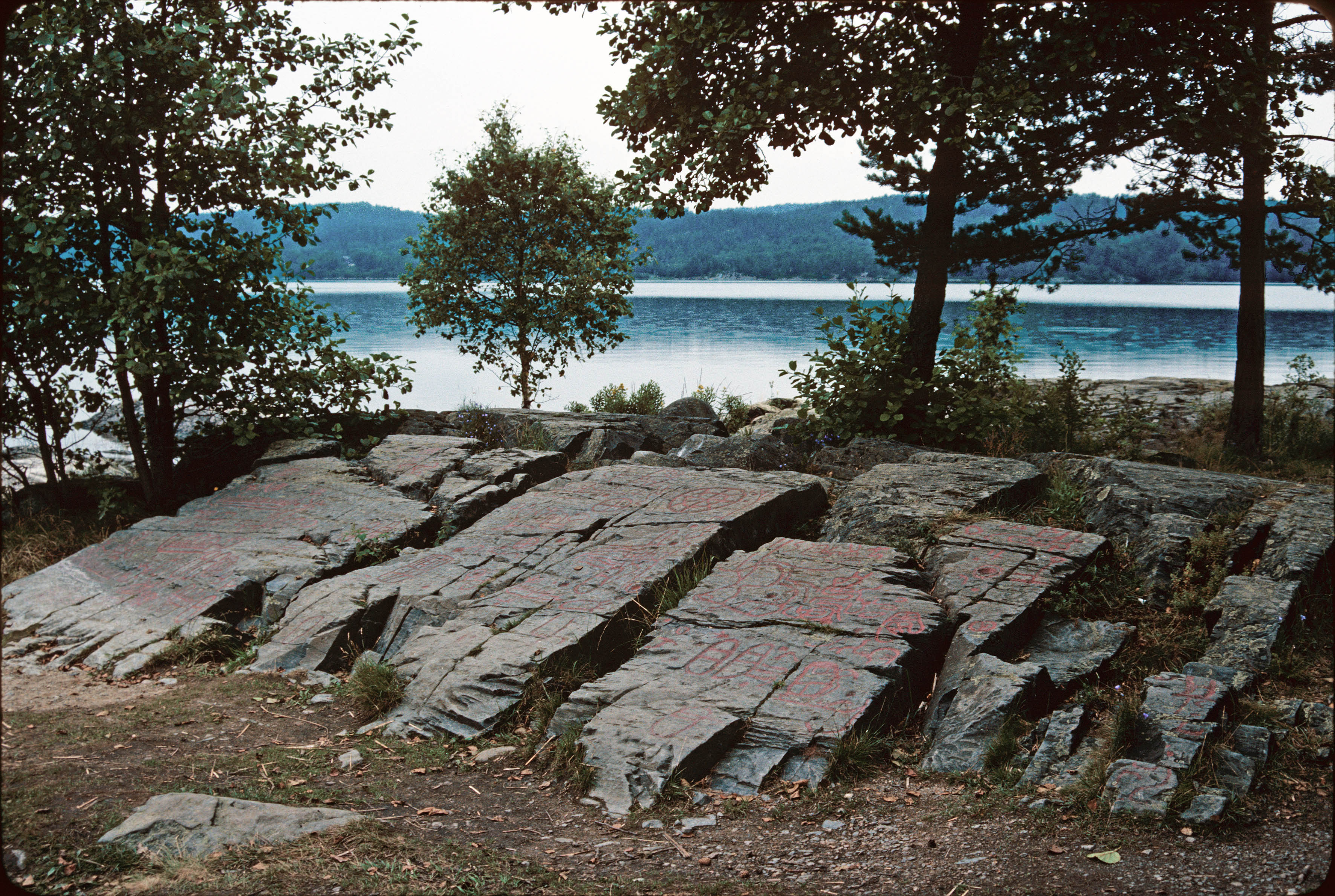 Högsbyn Tisselskog