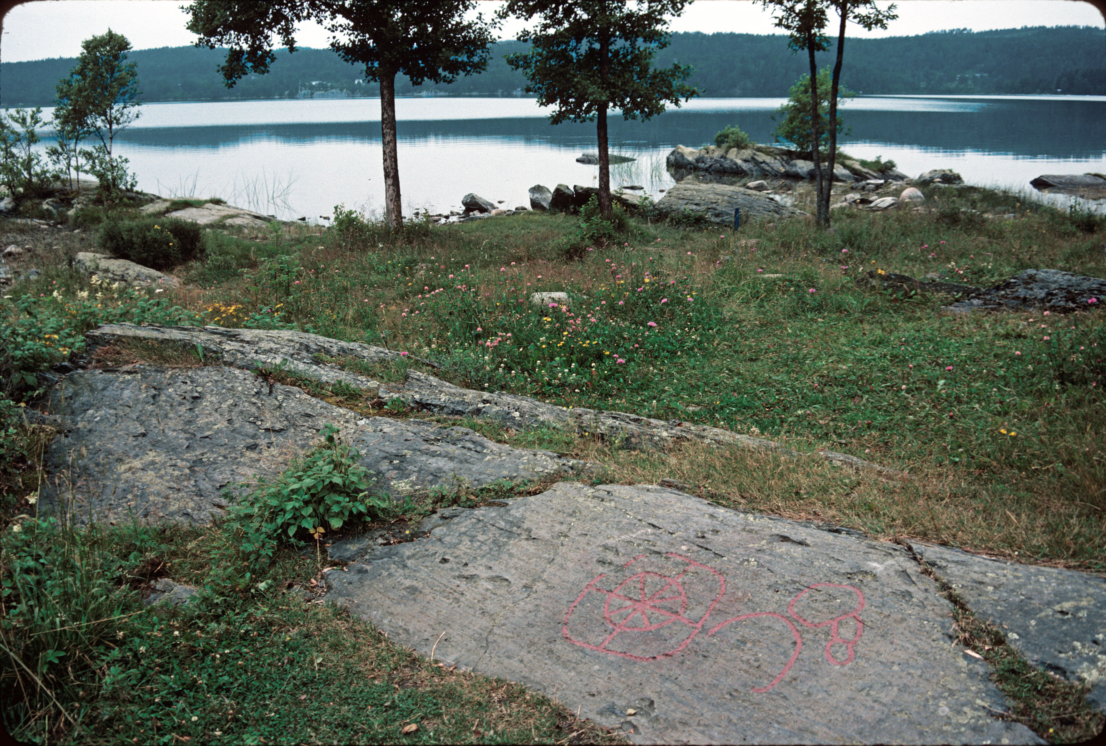 Högsbyn Tisselskog