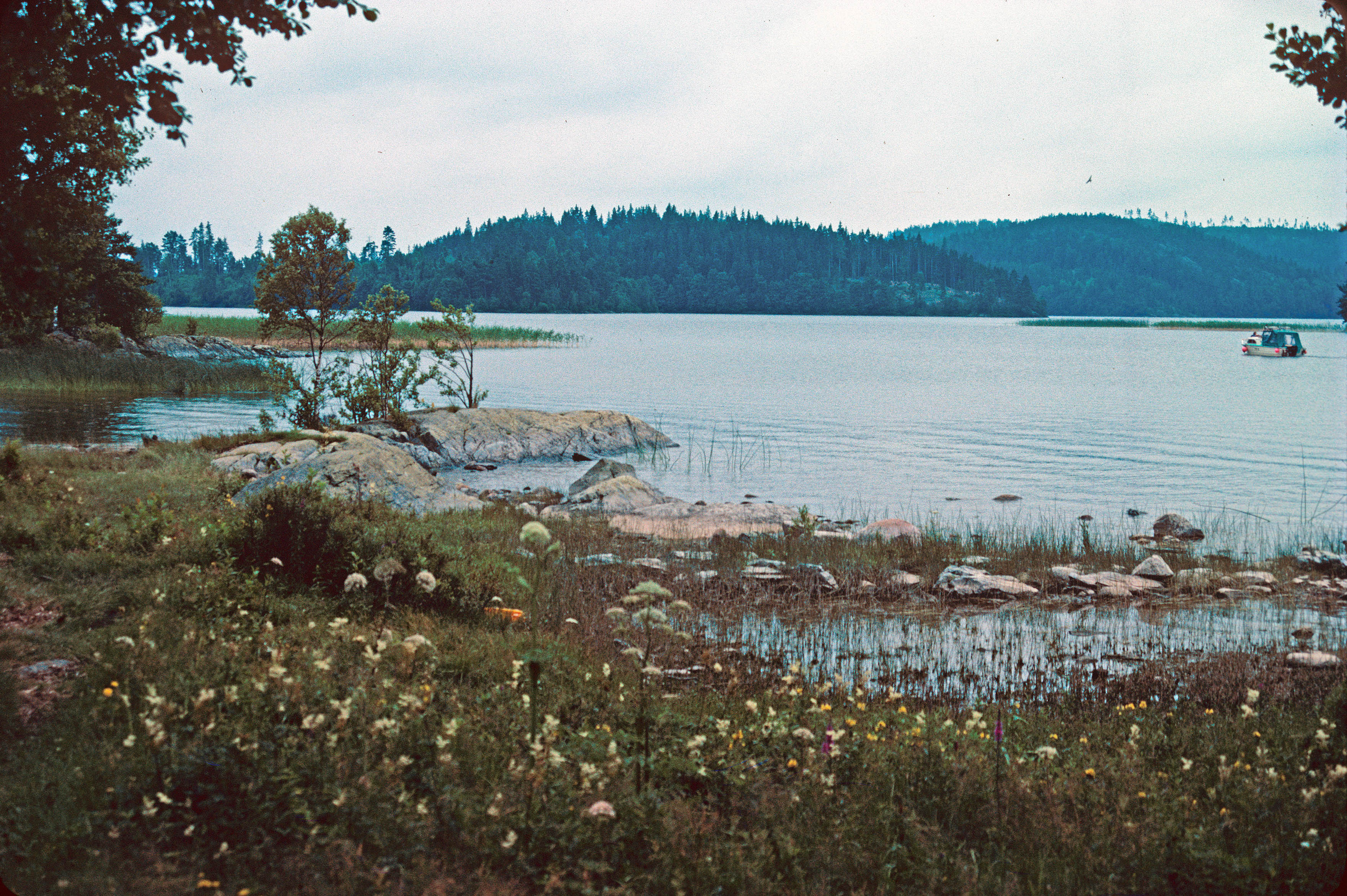 Högsbyn Tisselskog