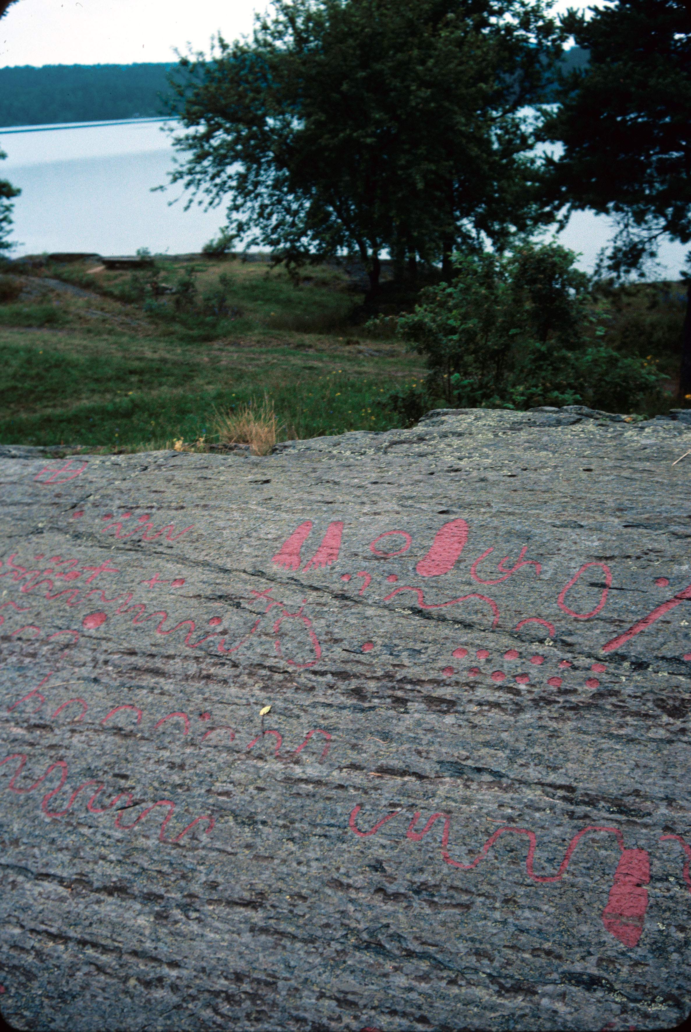 Högsbyn Tisselskog