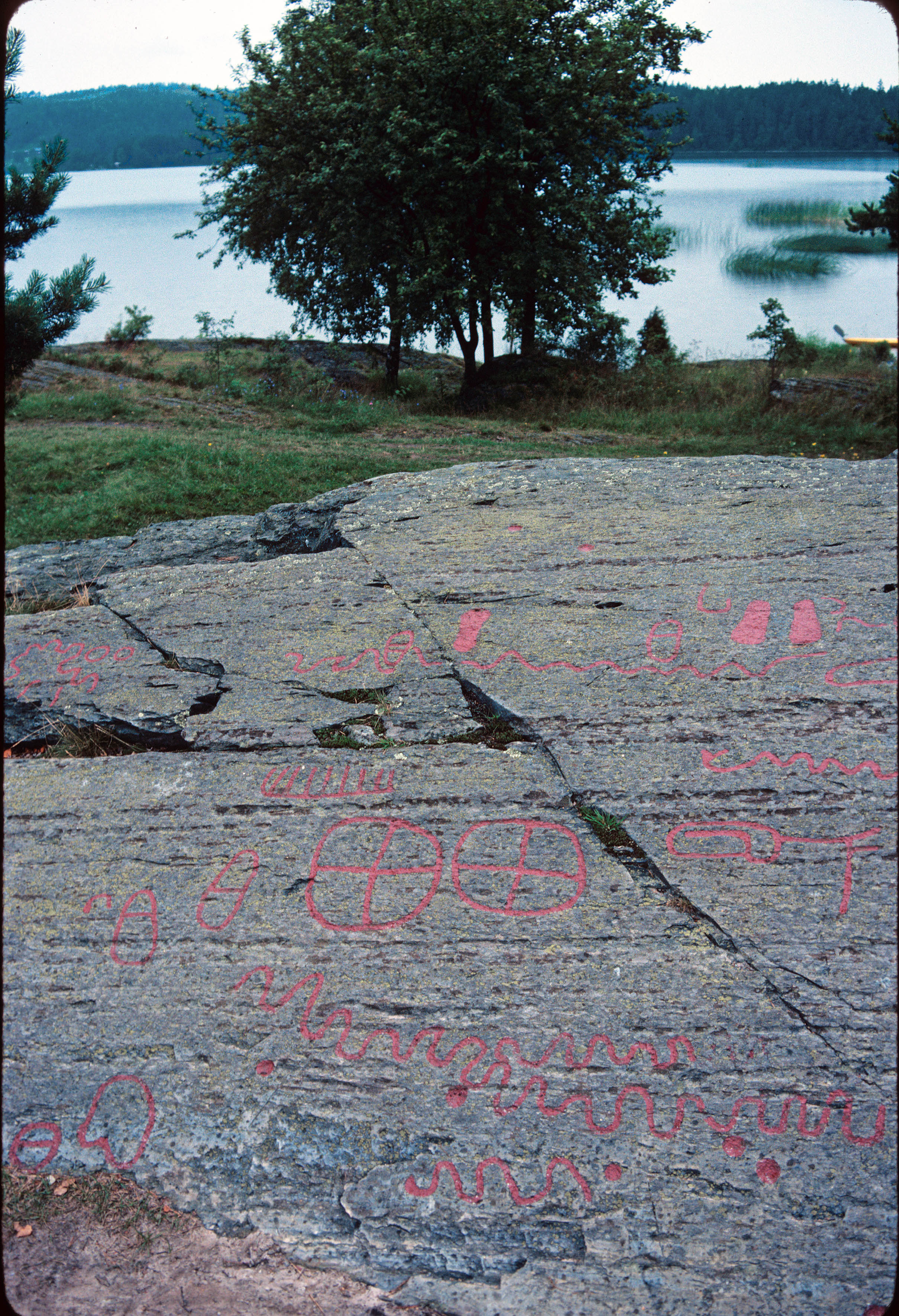 Högsbyn Tisselskog