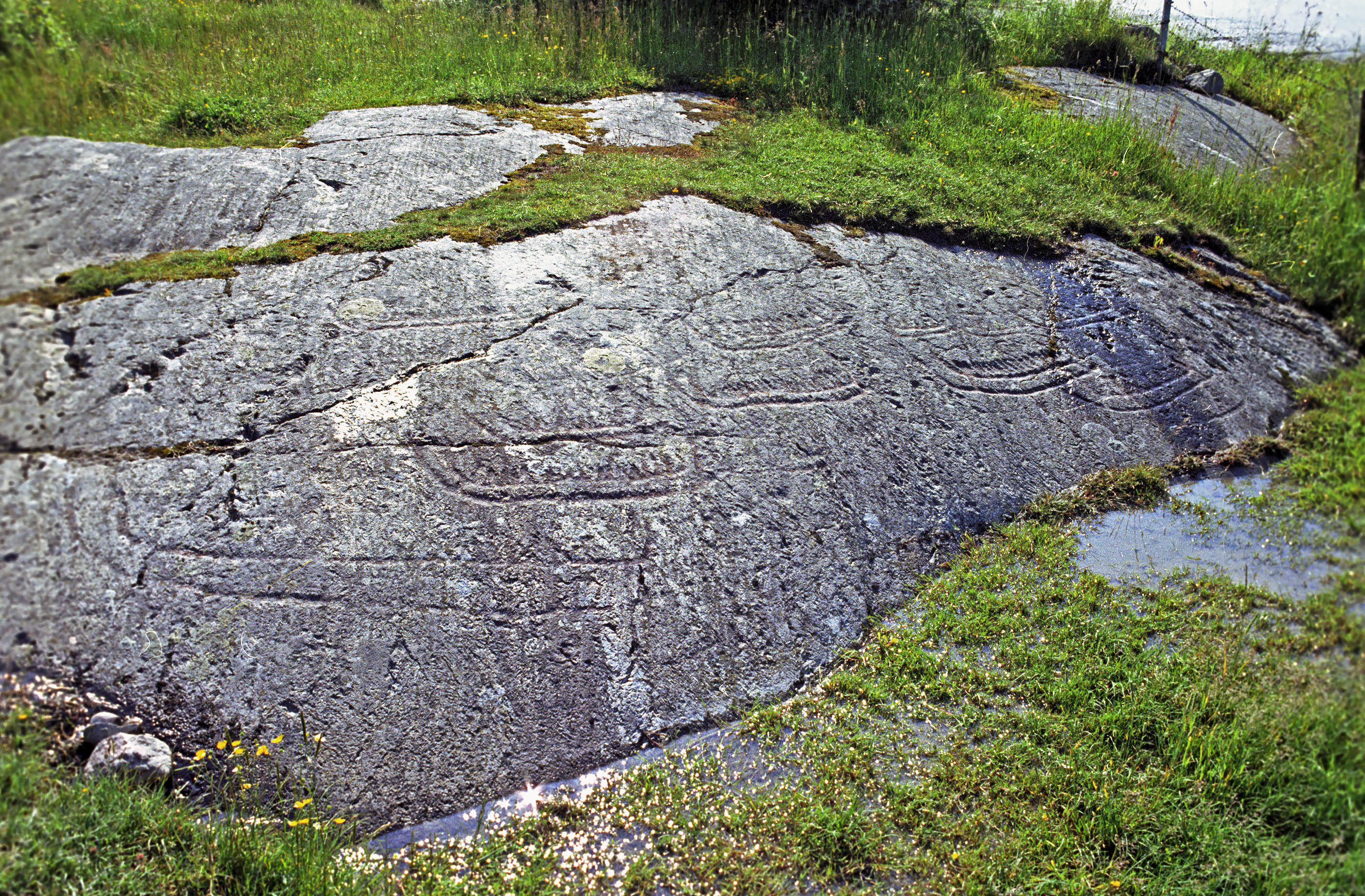 Basteröd Klövedal