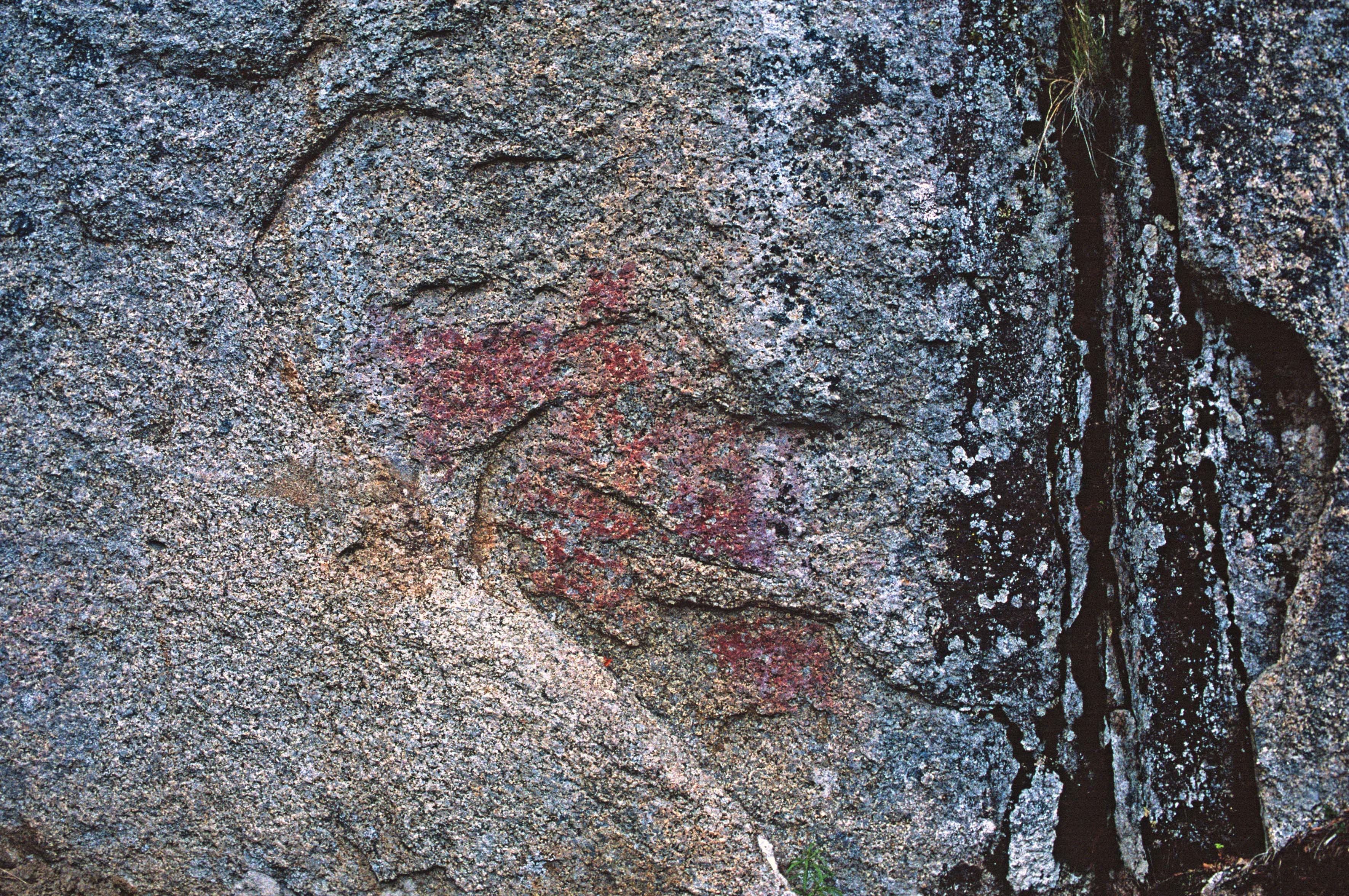 Högberget Ramsele