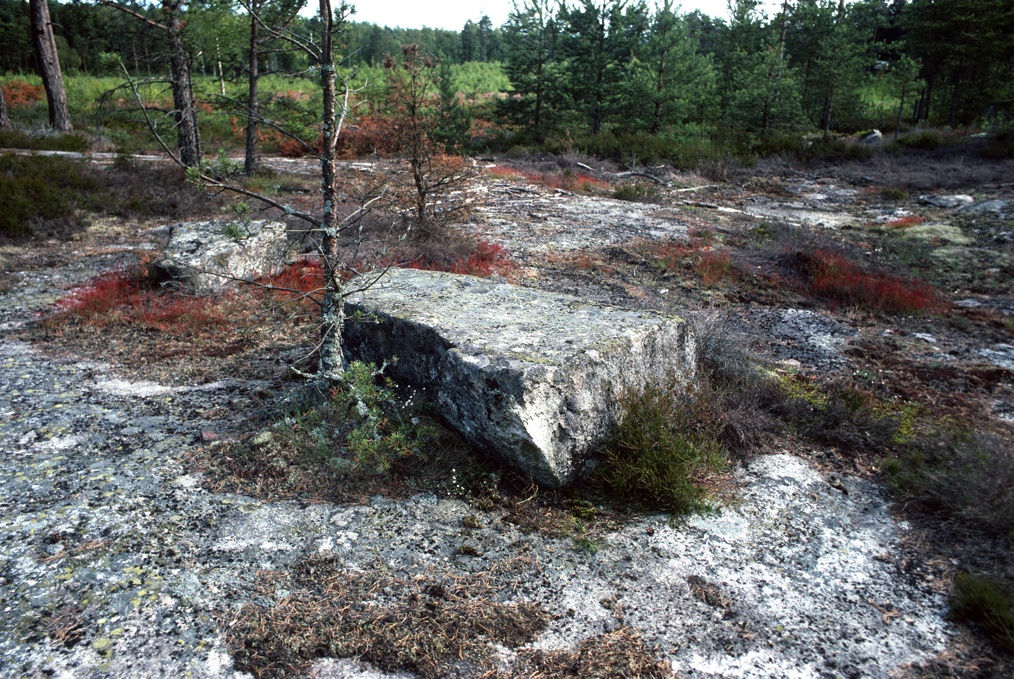 Lursäng Kycklingstenen Lur