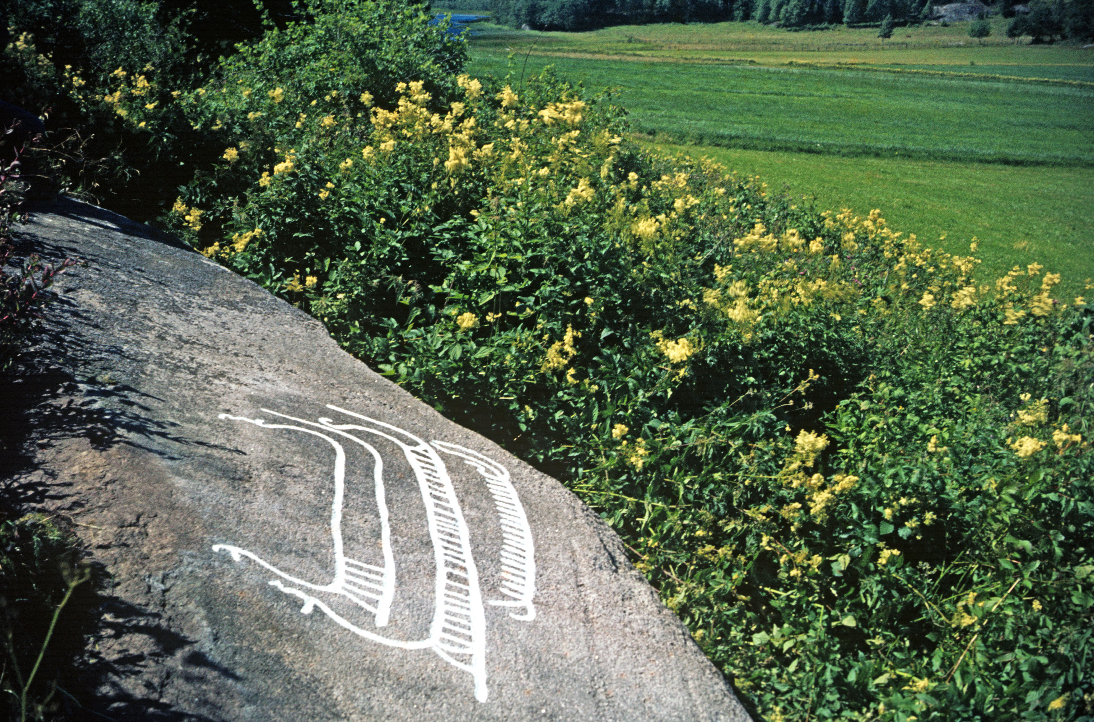 Bergskär Bärfendal