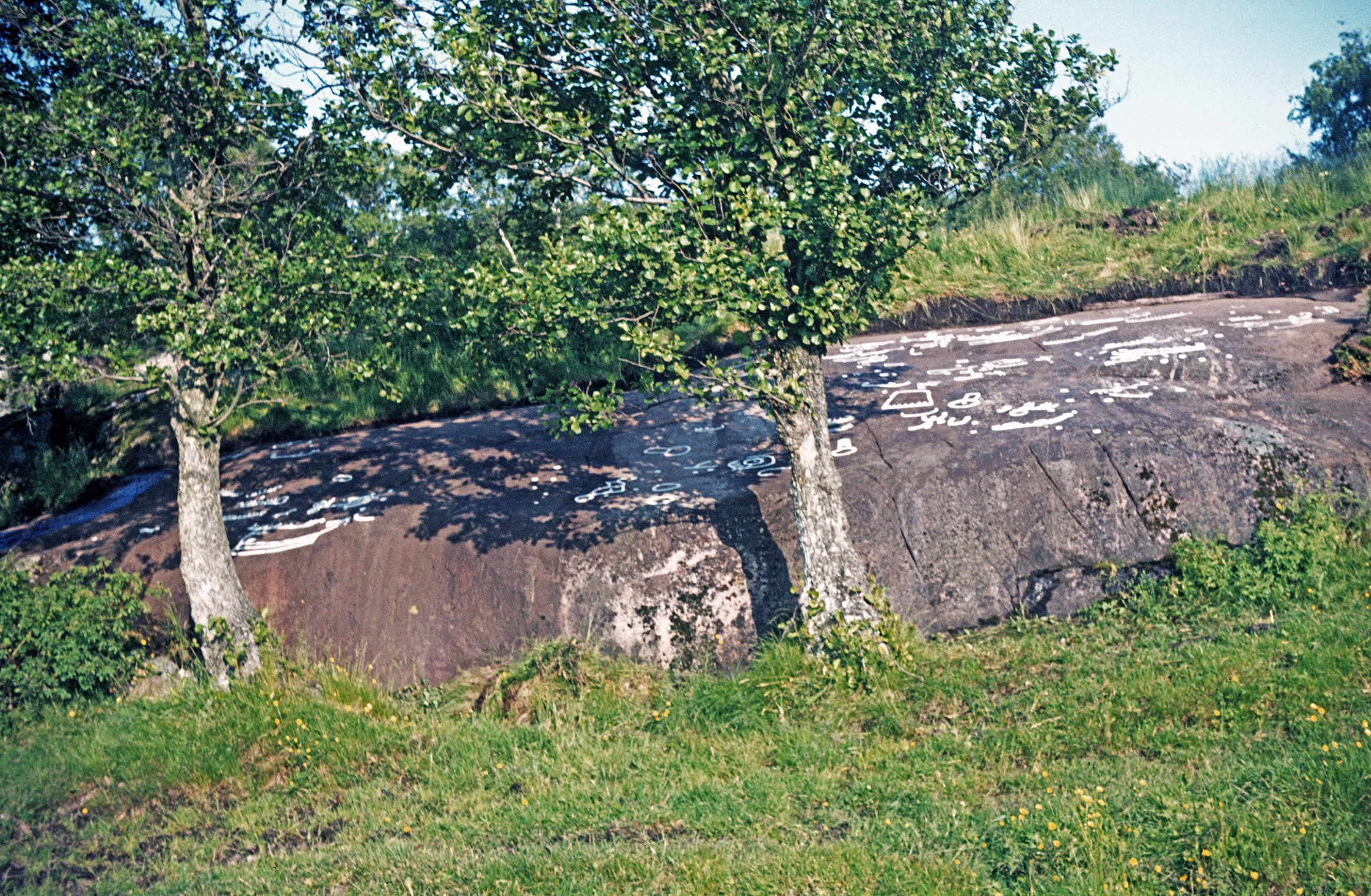 Vrångstad 5 Bottna