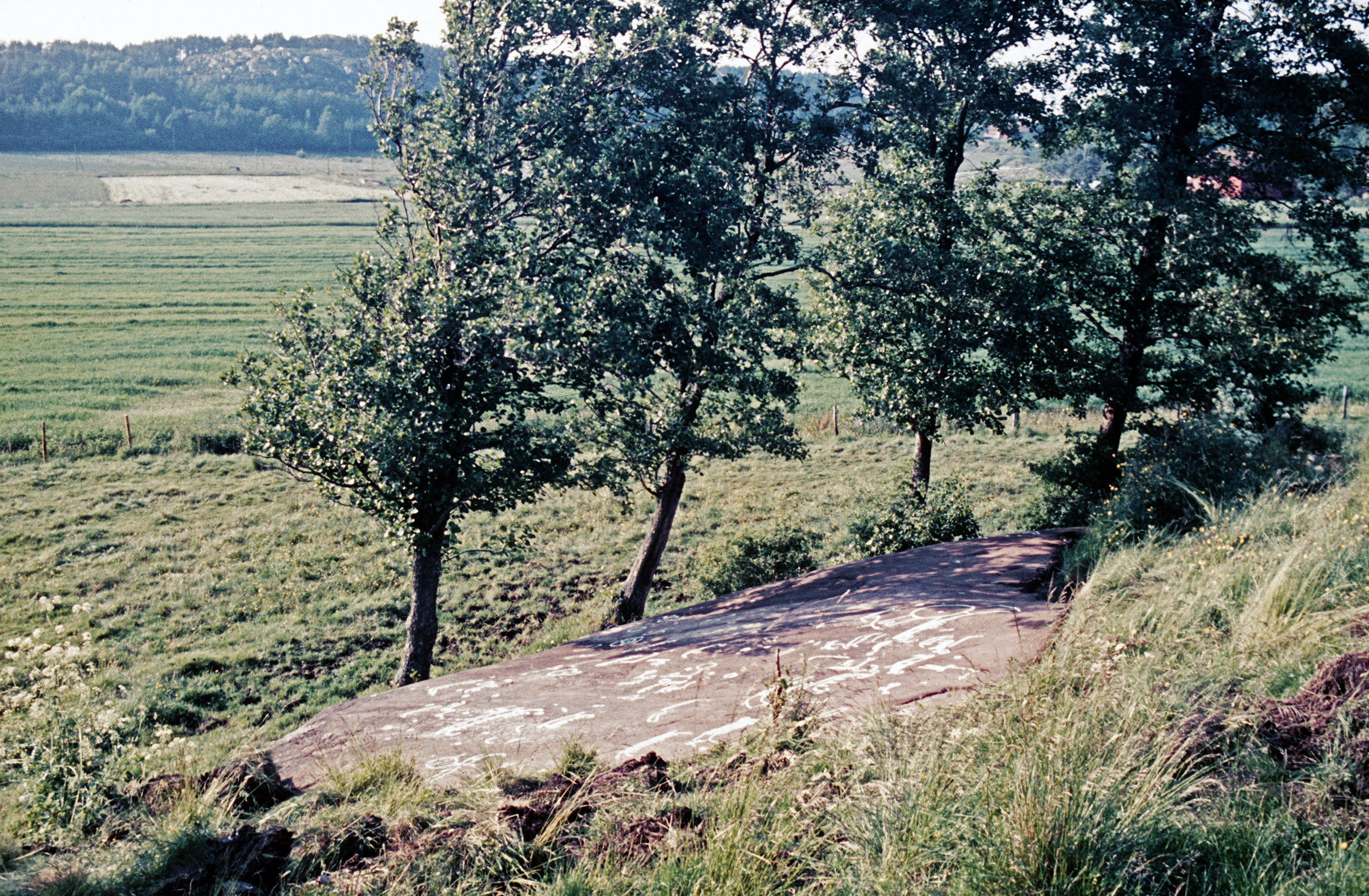 Vrångstad Bottna