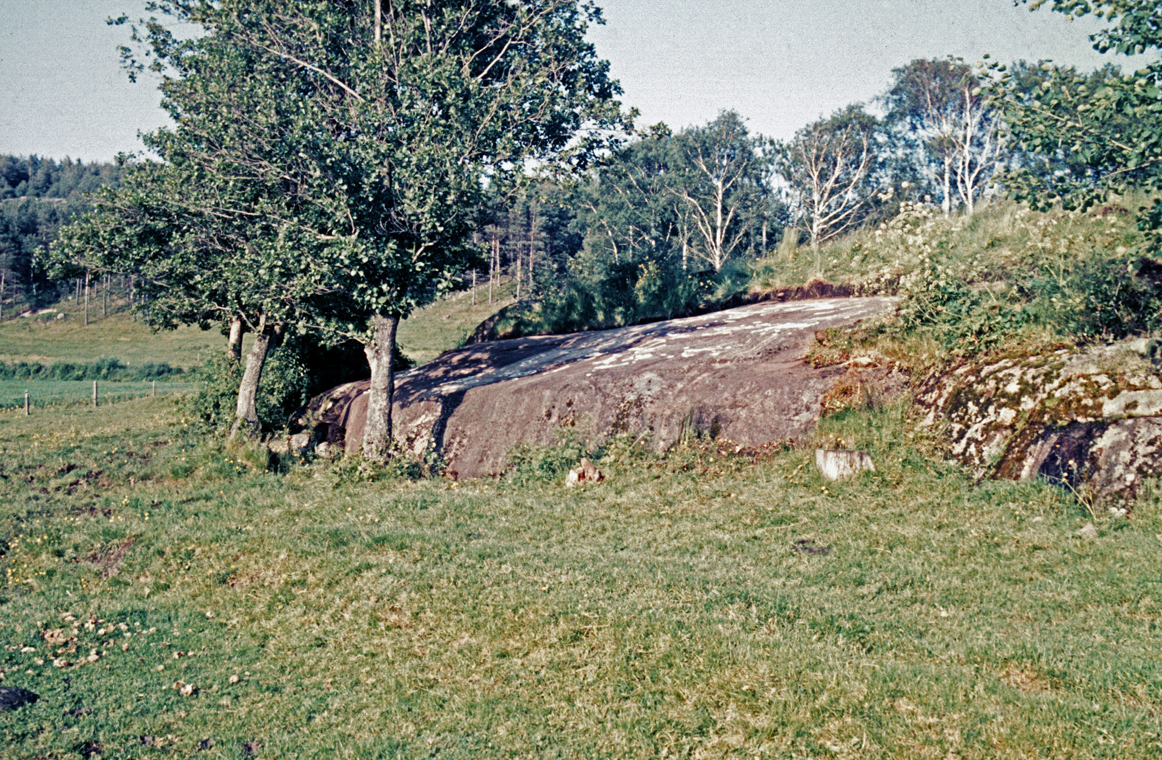 Vrångstad Bottna