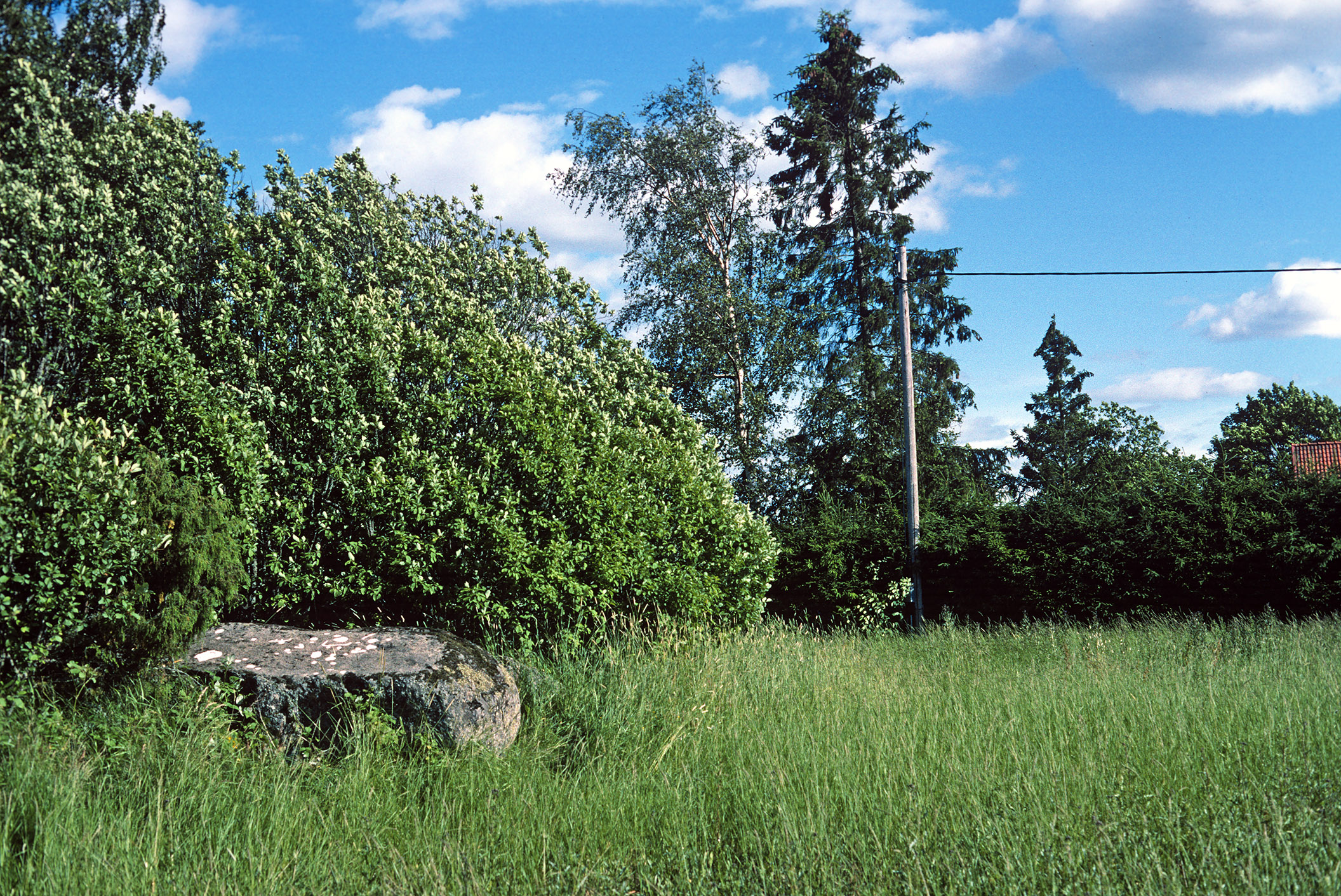 Orresta Björksta