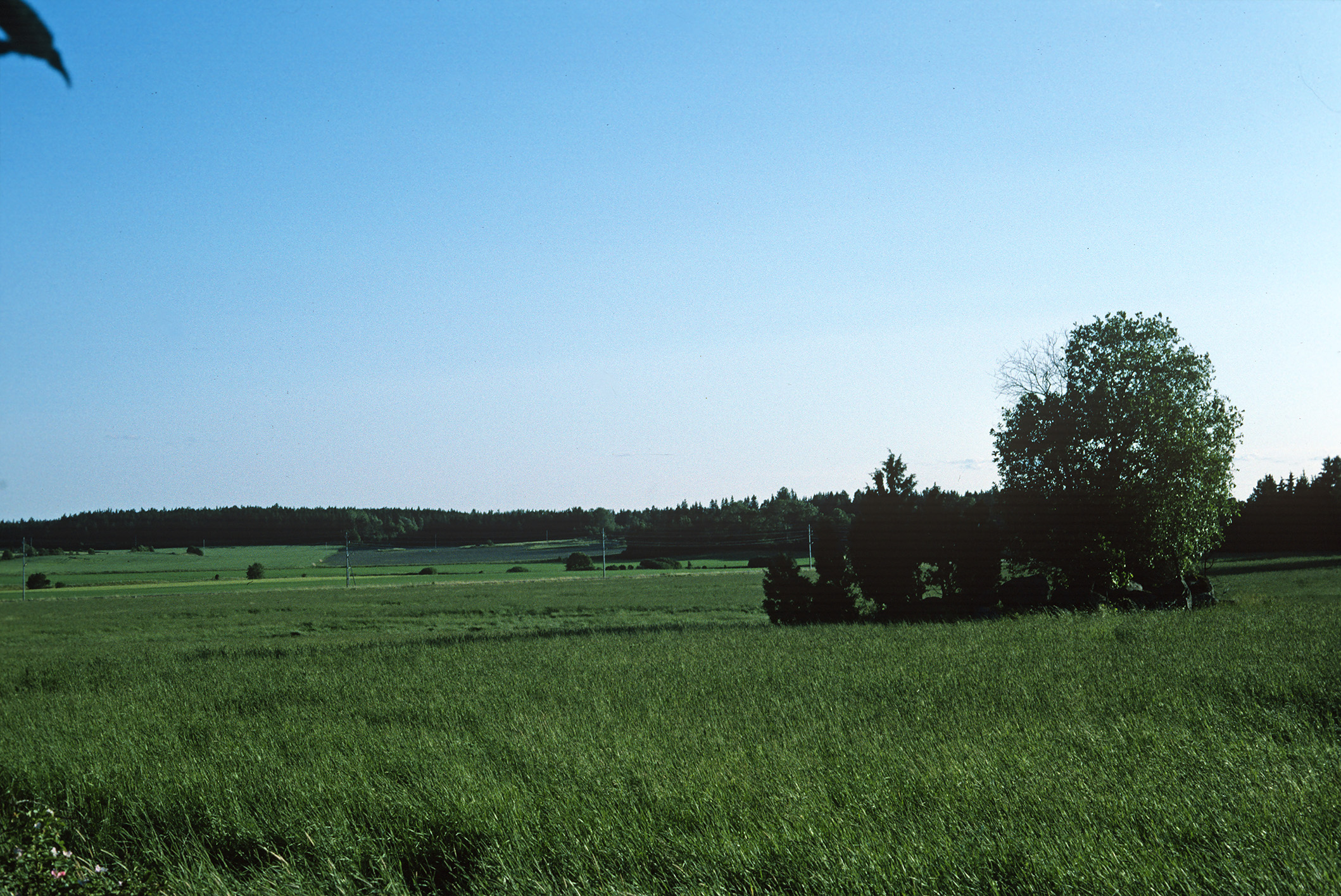 Översta Björksta