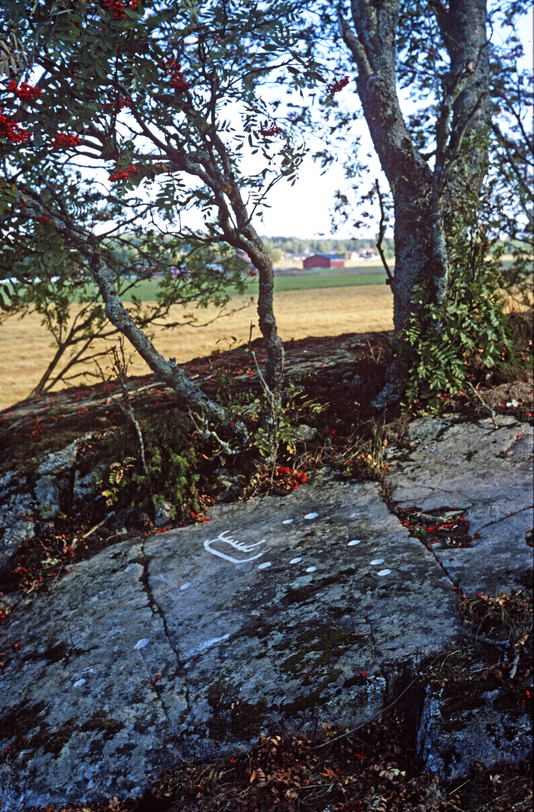 Sörby Tortuna