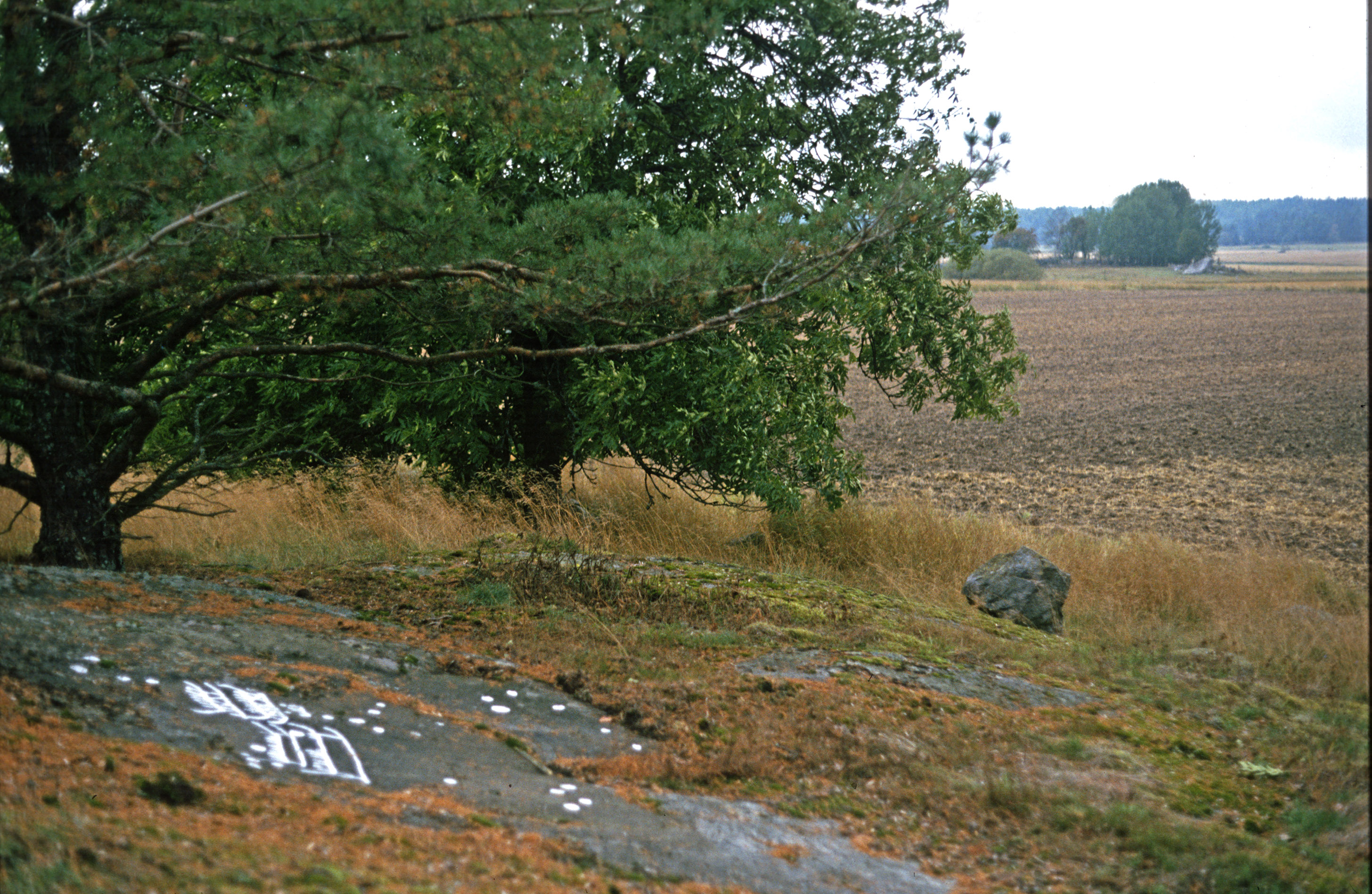 Öster Åby Tortuna