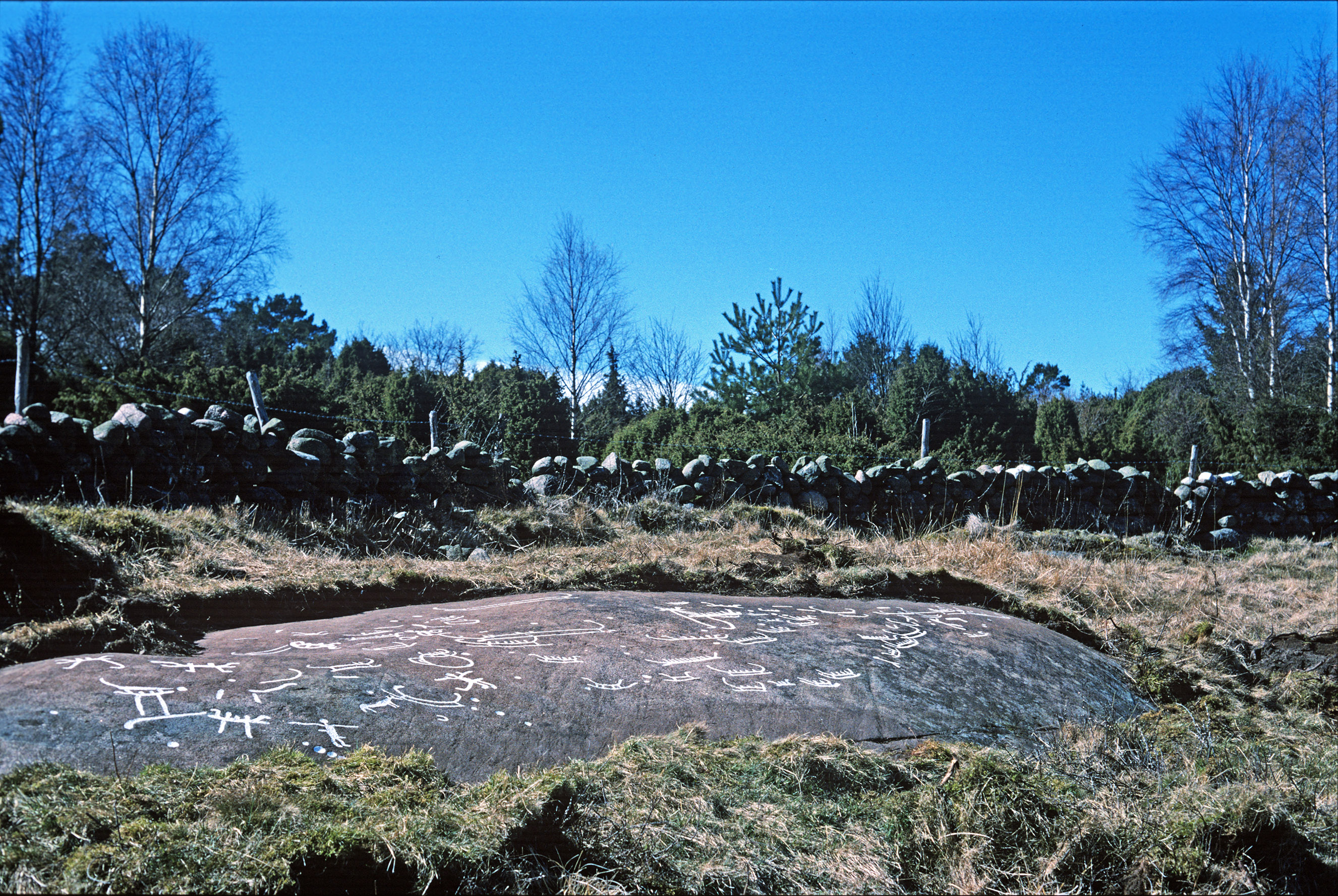 Anneröd Askum