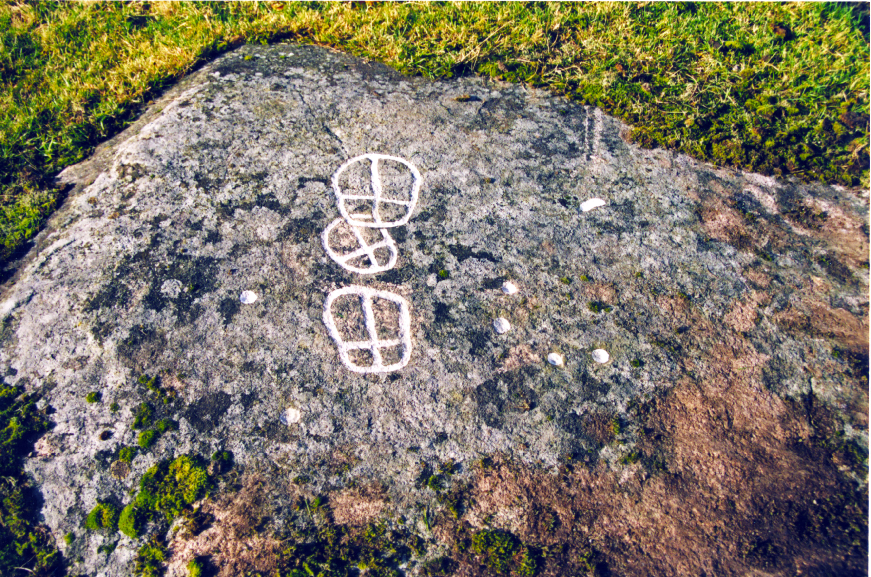 Skälsnäs Tjureda