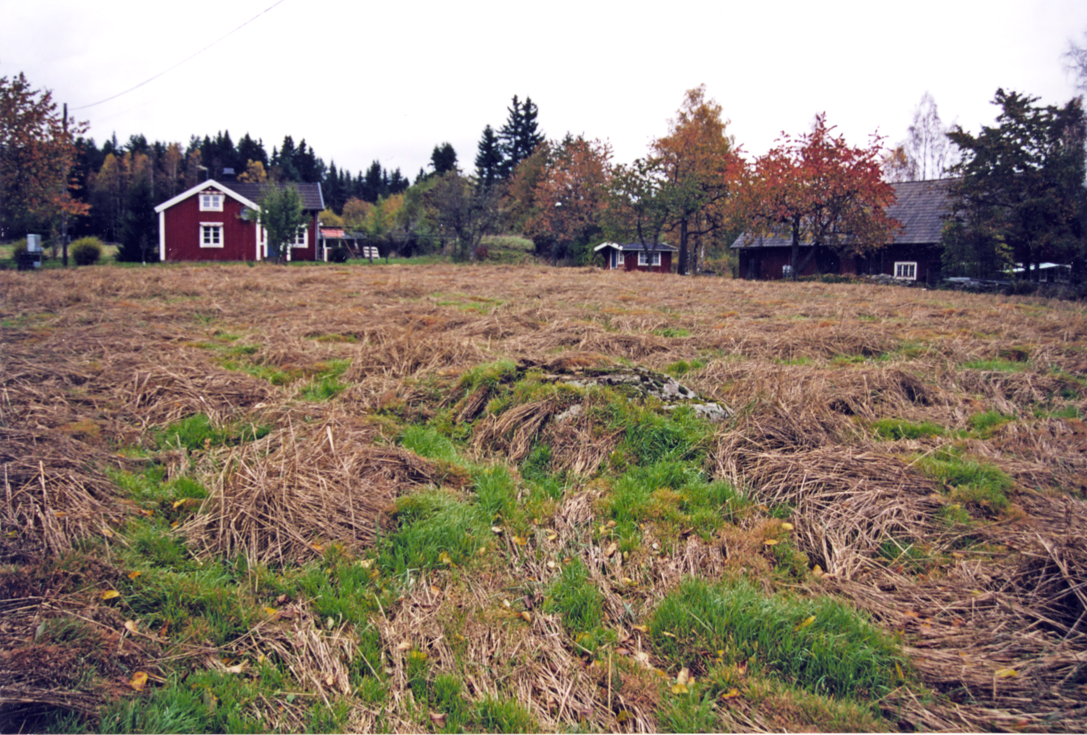 Skavenäs Tjureda