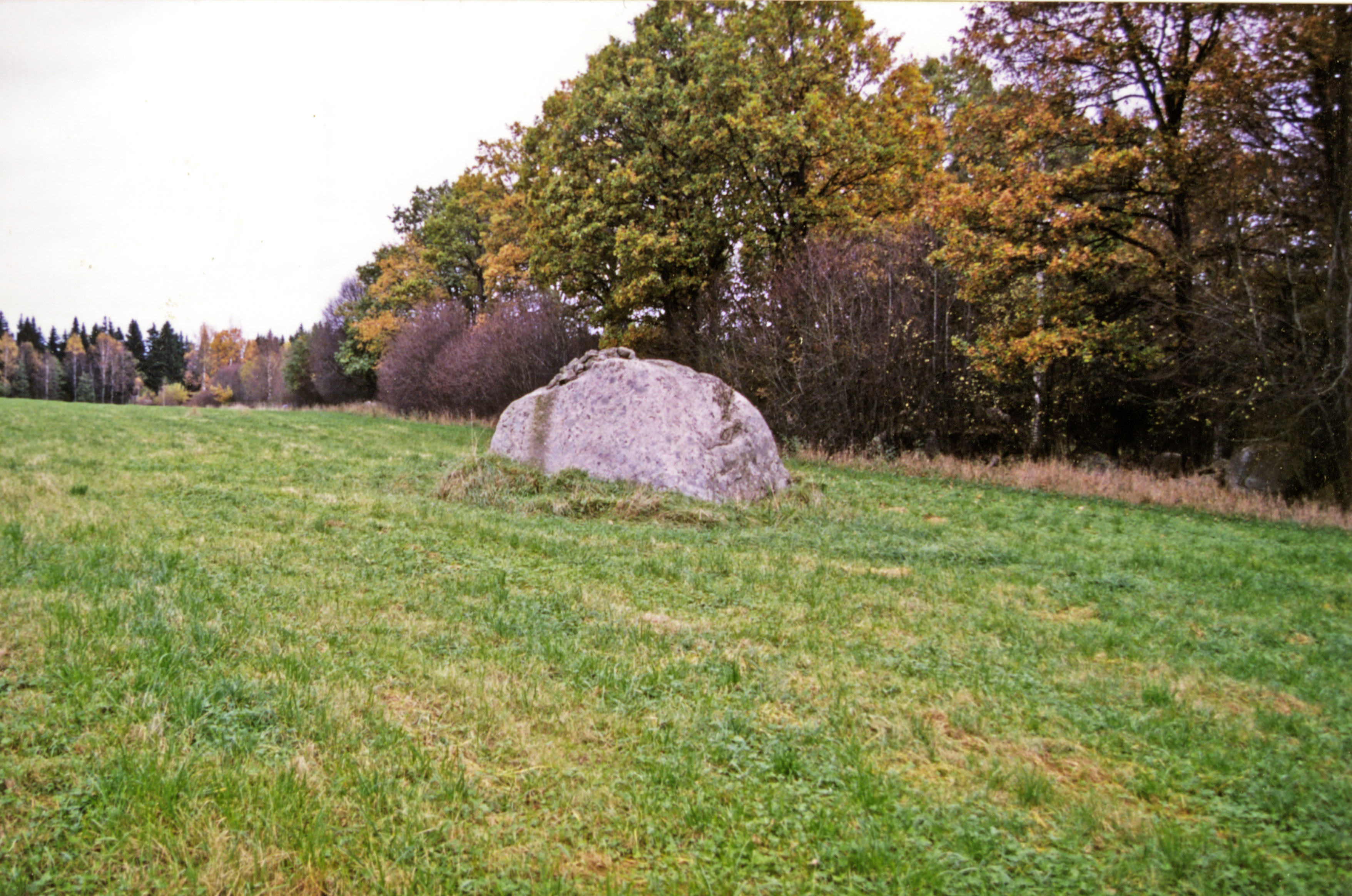 Eknaholm Tjureda