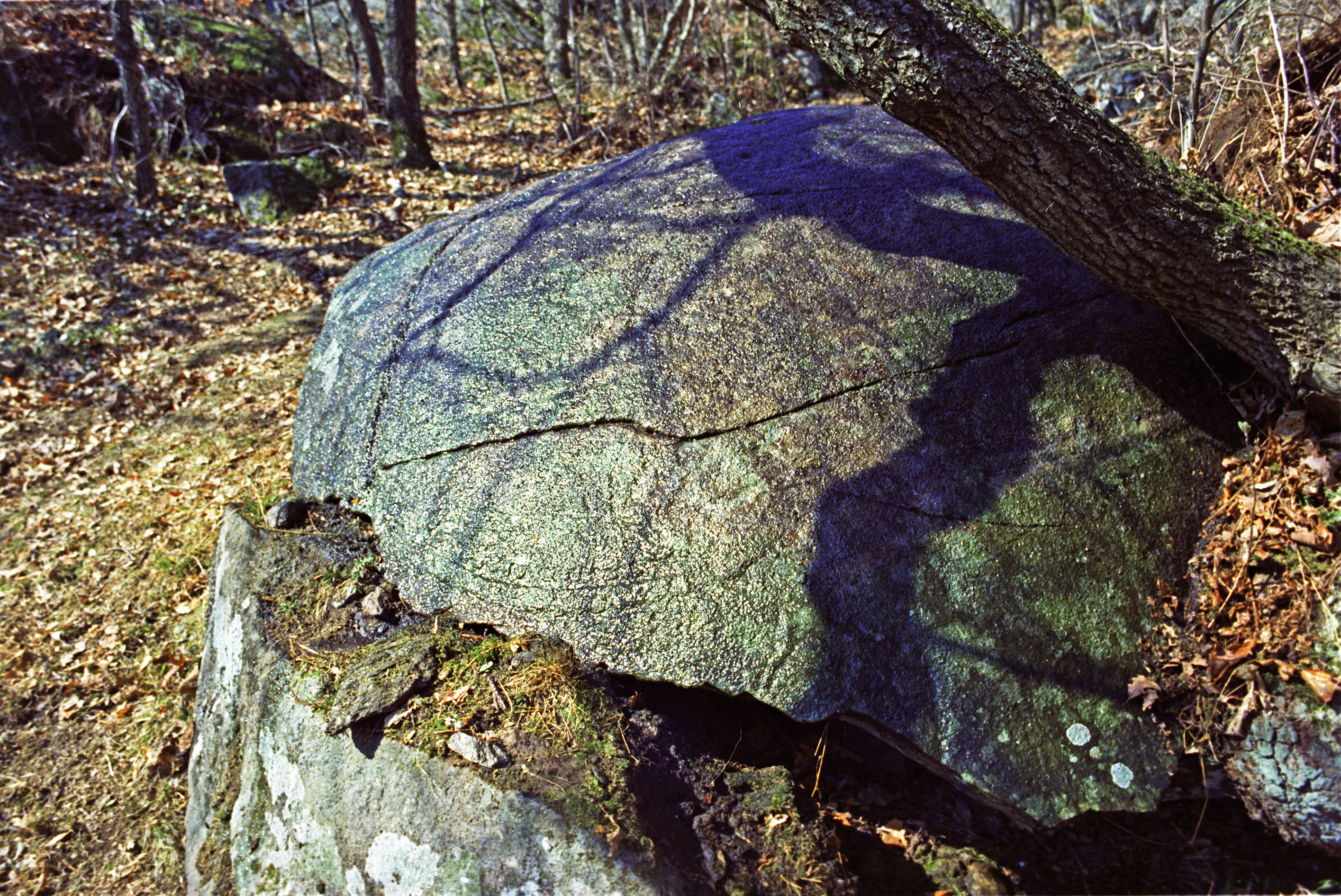 Halsbäck Klövedal