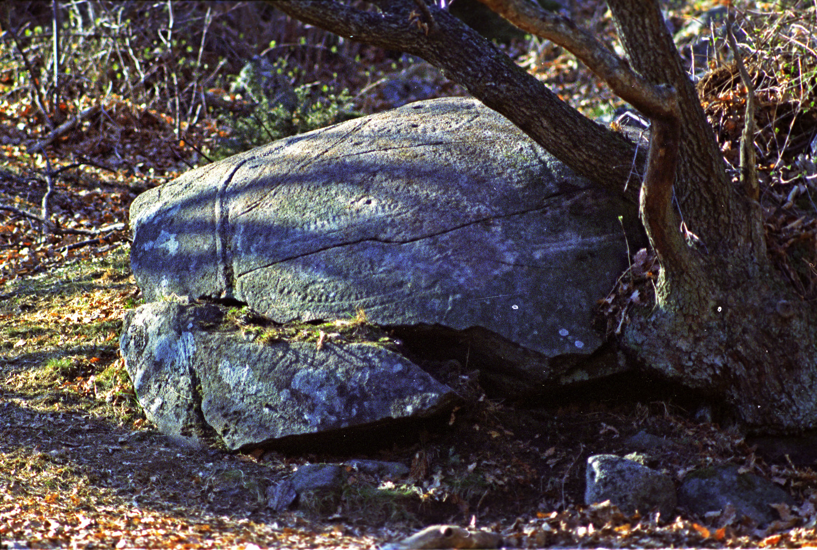 Halsbäck Klövedal