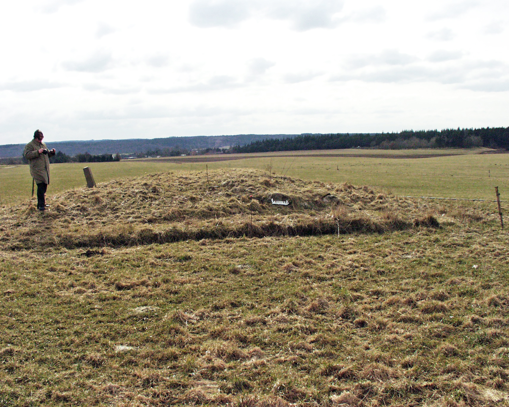 Vindblæs Jylland