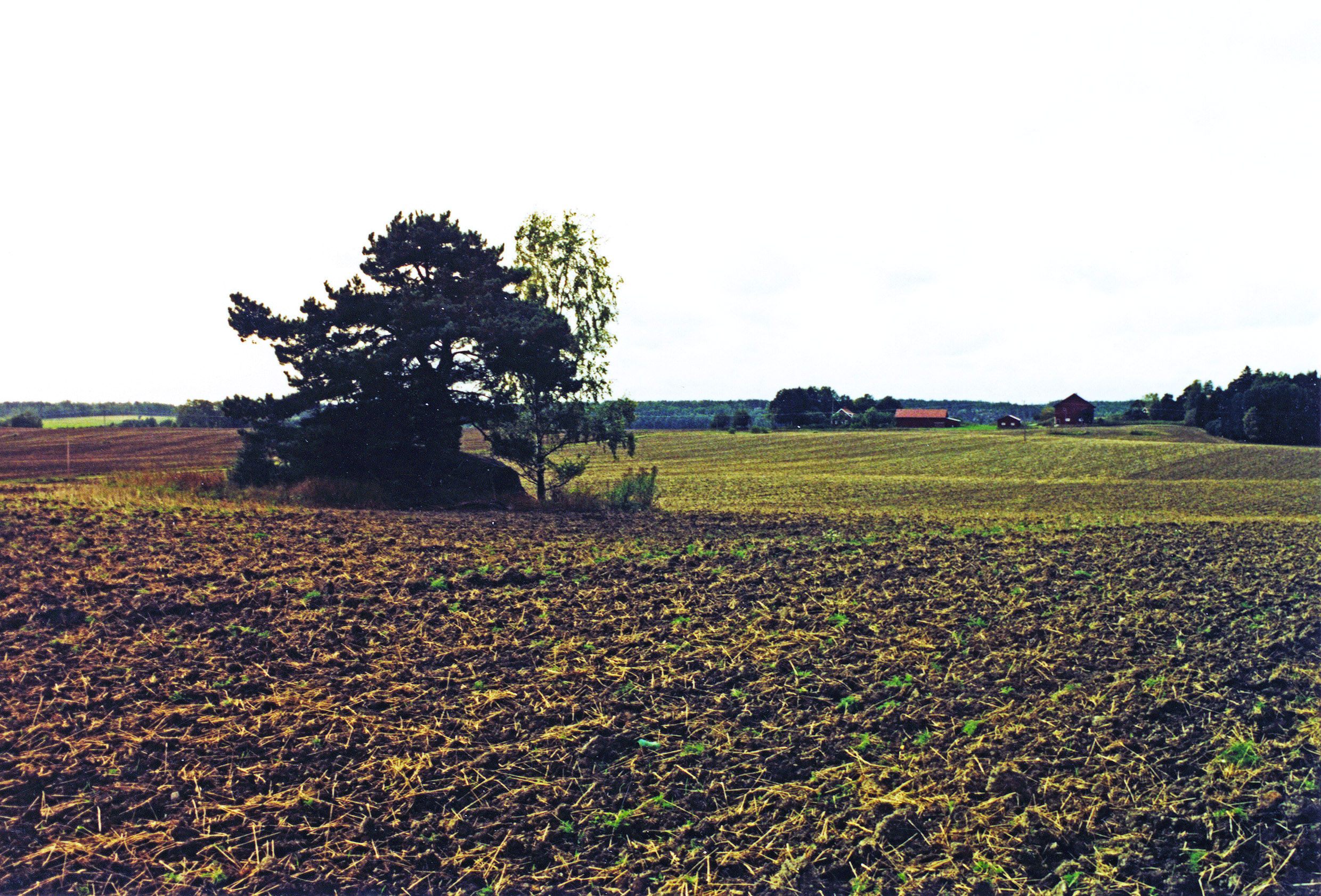 Nibble Gåsinge-Dillnäs