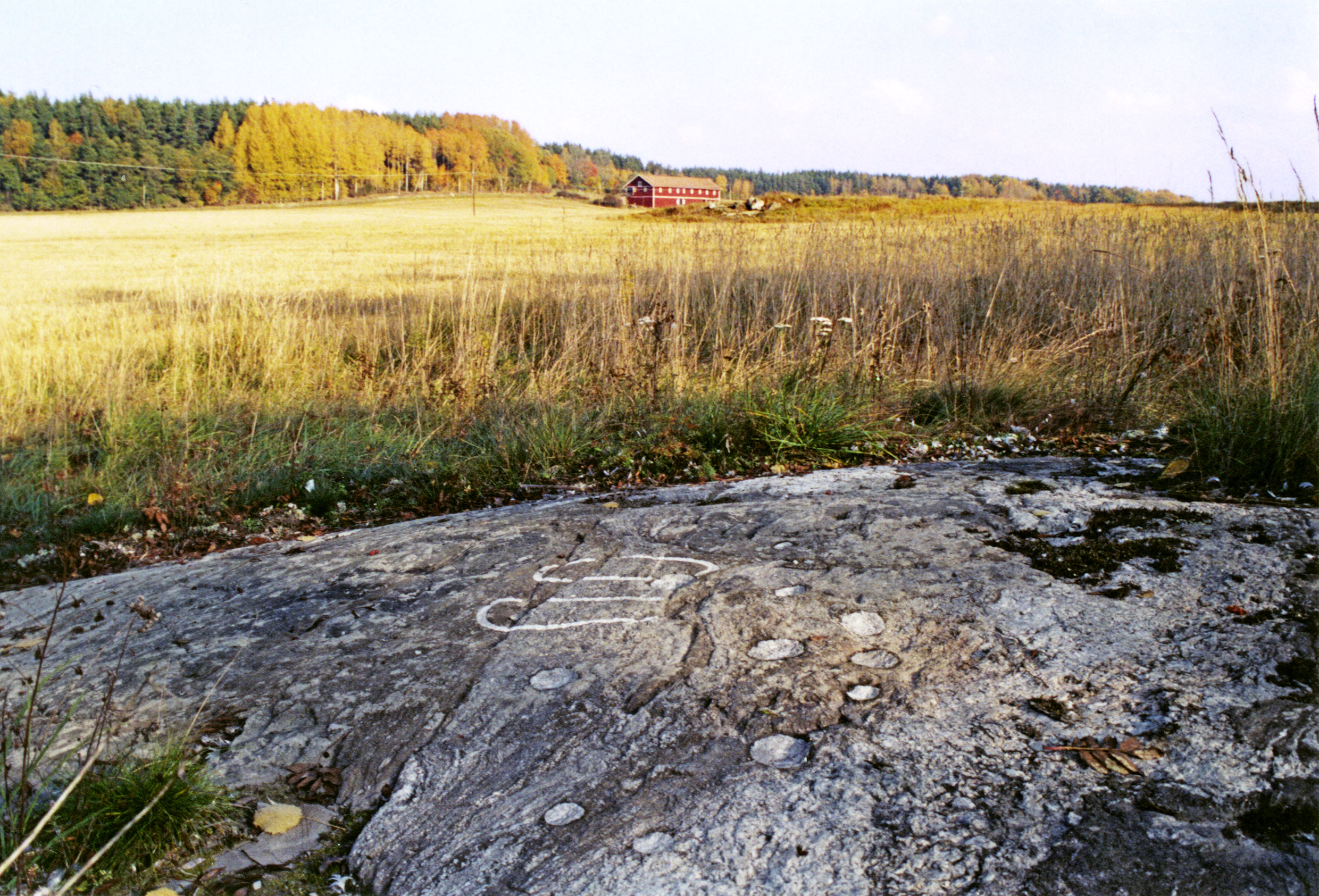 Ilandet Gåsinge-Dillnäs