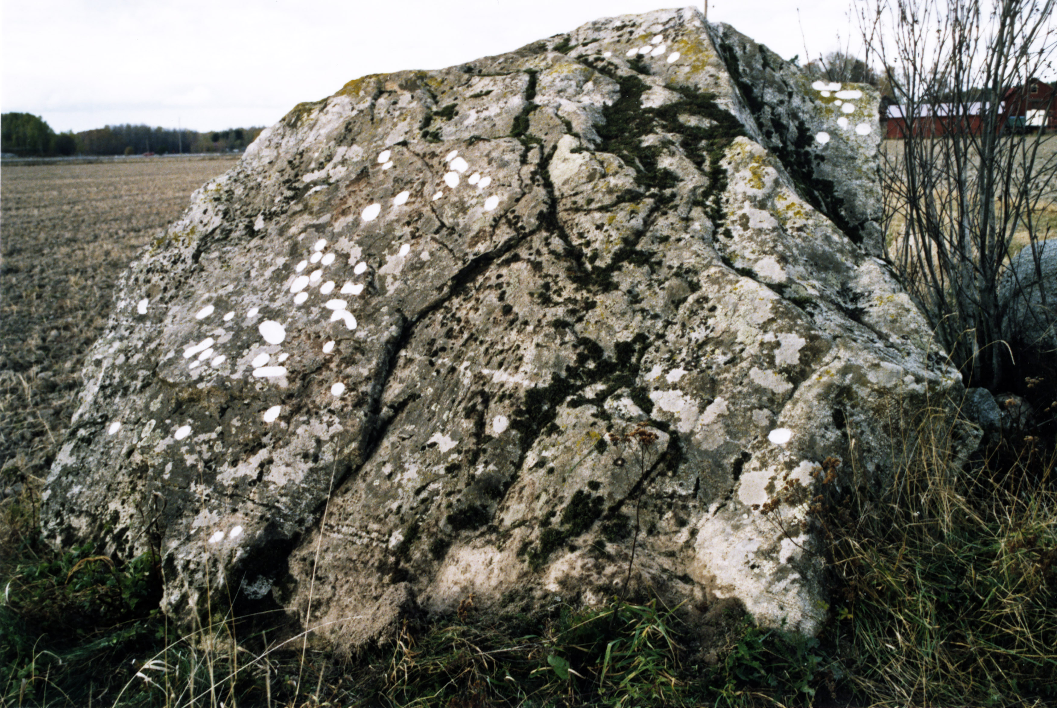 Häljesta Munktorp