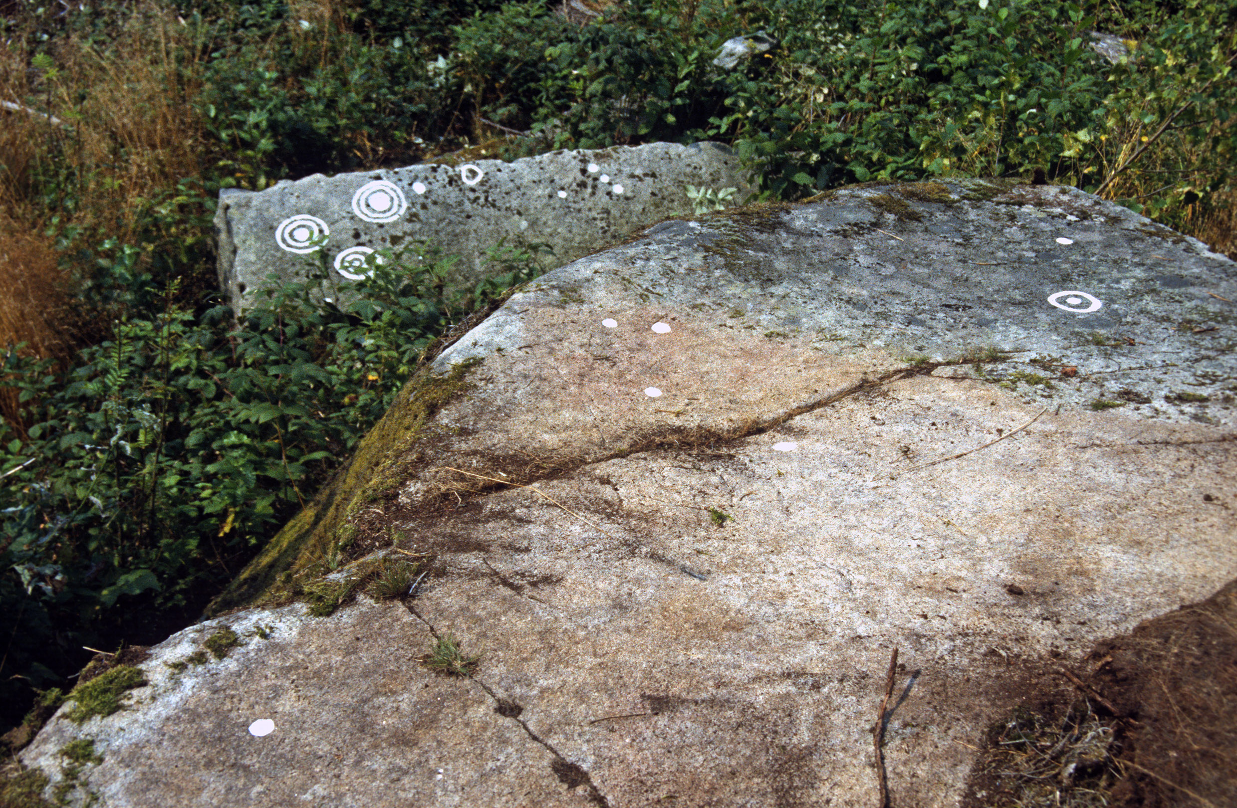 Färanäs Blädinge