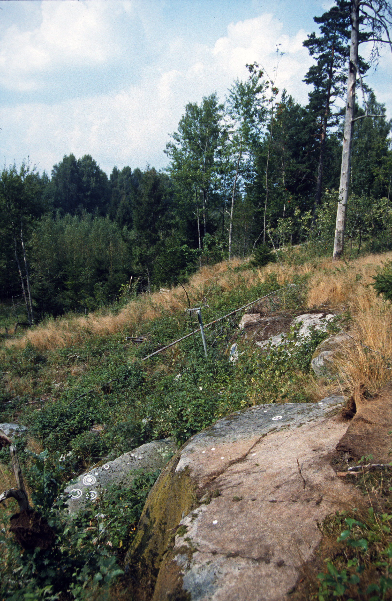 Färanäs Blädinge