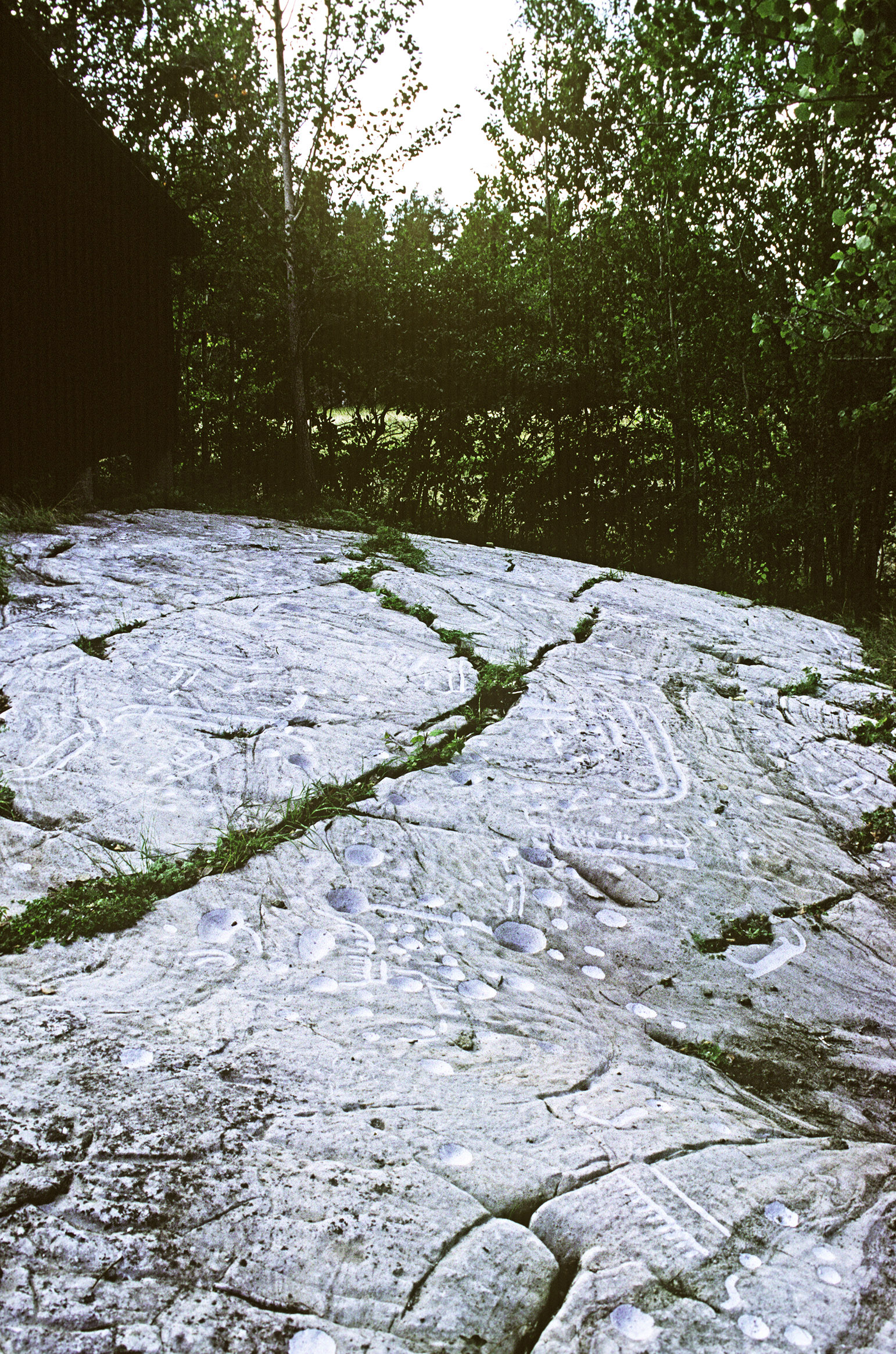 Karlberg Trosa-Vagnhärad