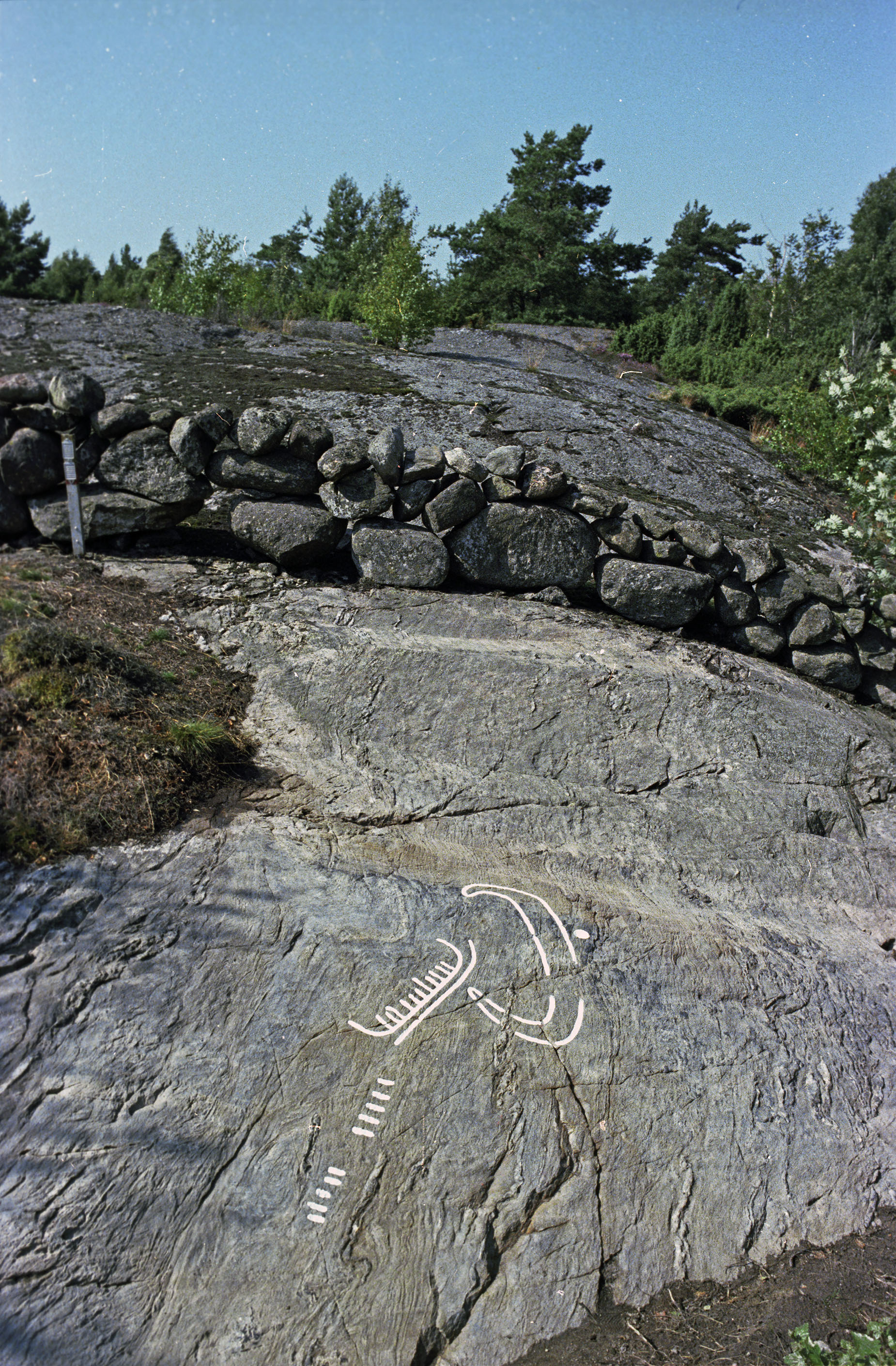 Röds myr Valla