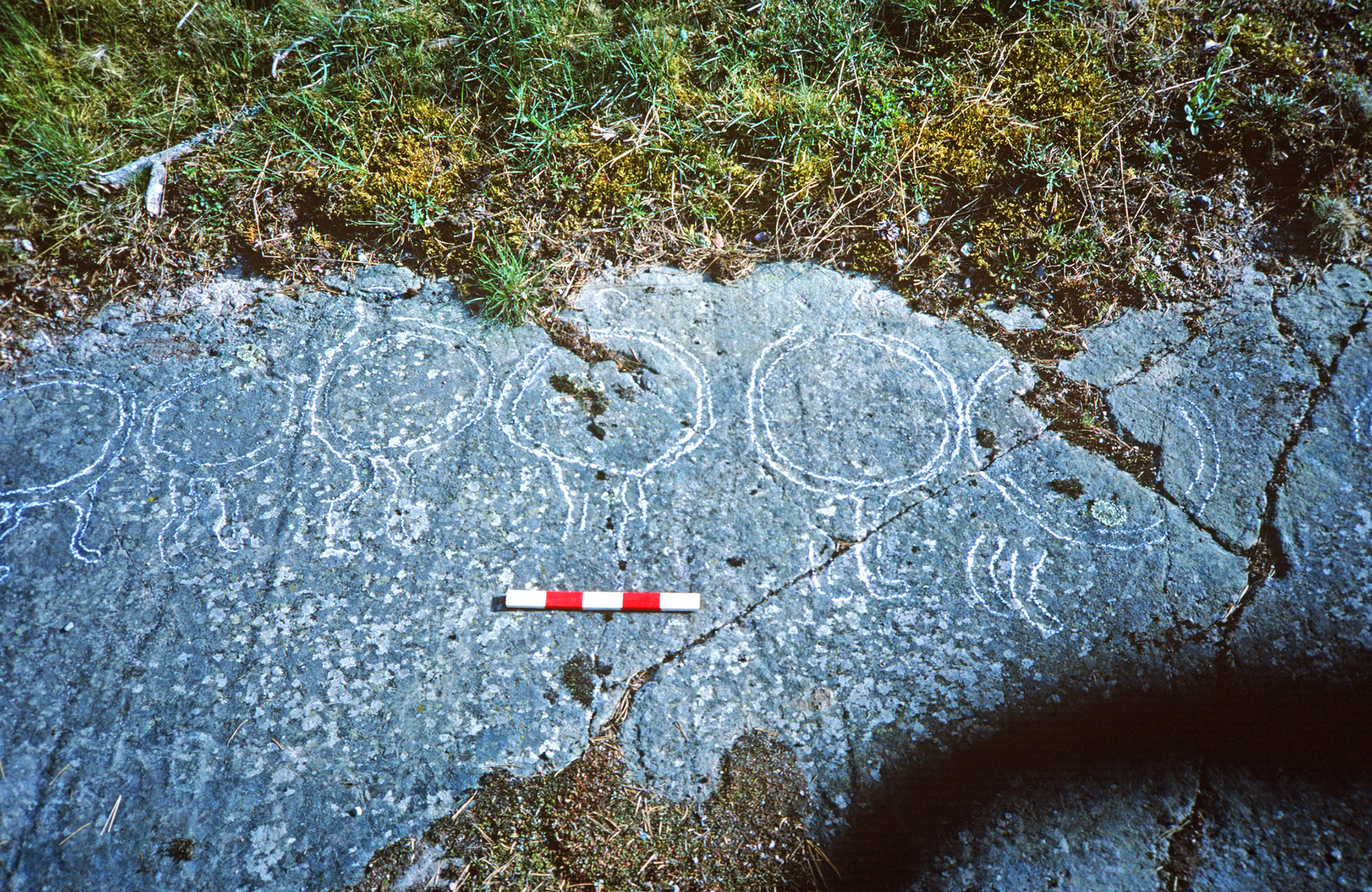 Biskopskulla Berg