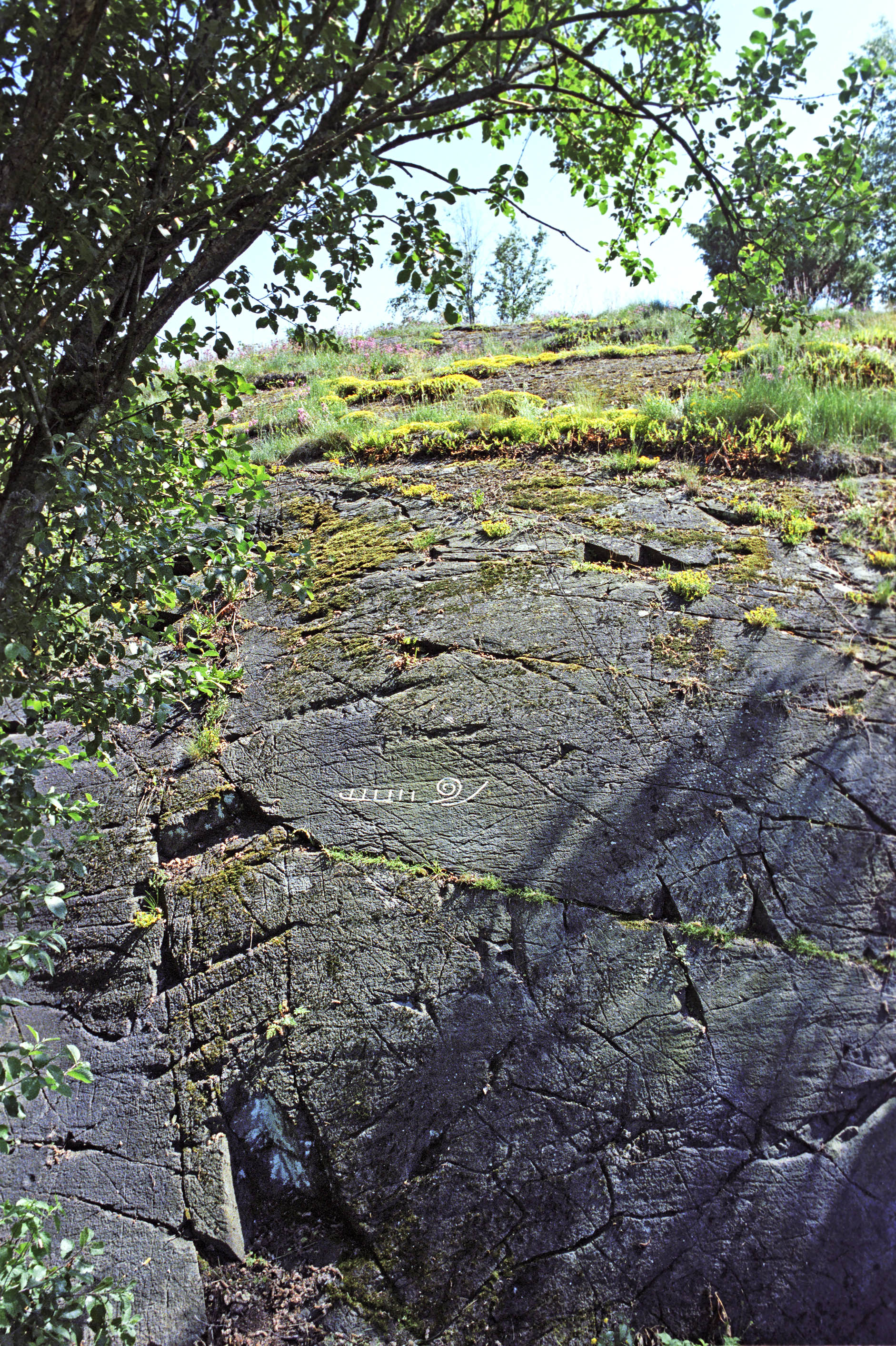 Gälov Valla