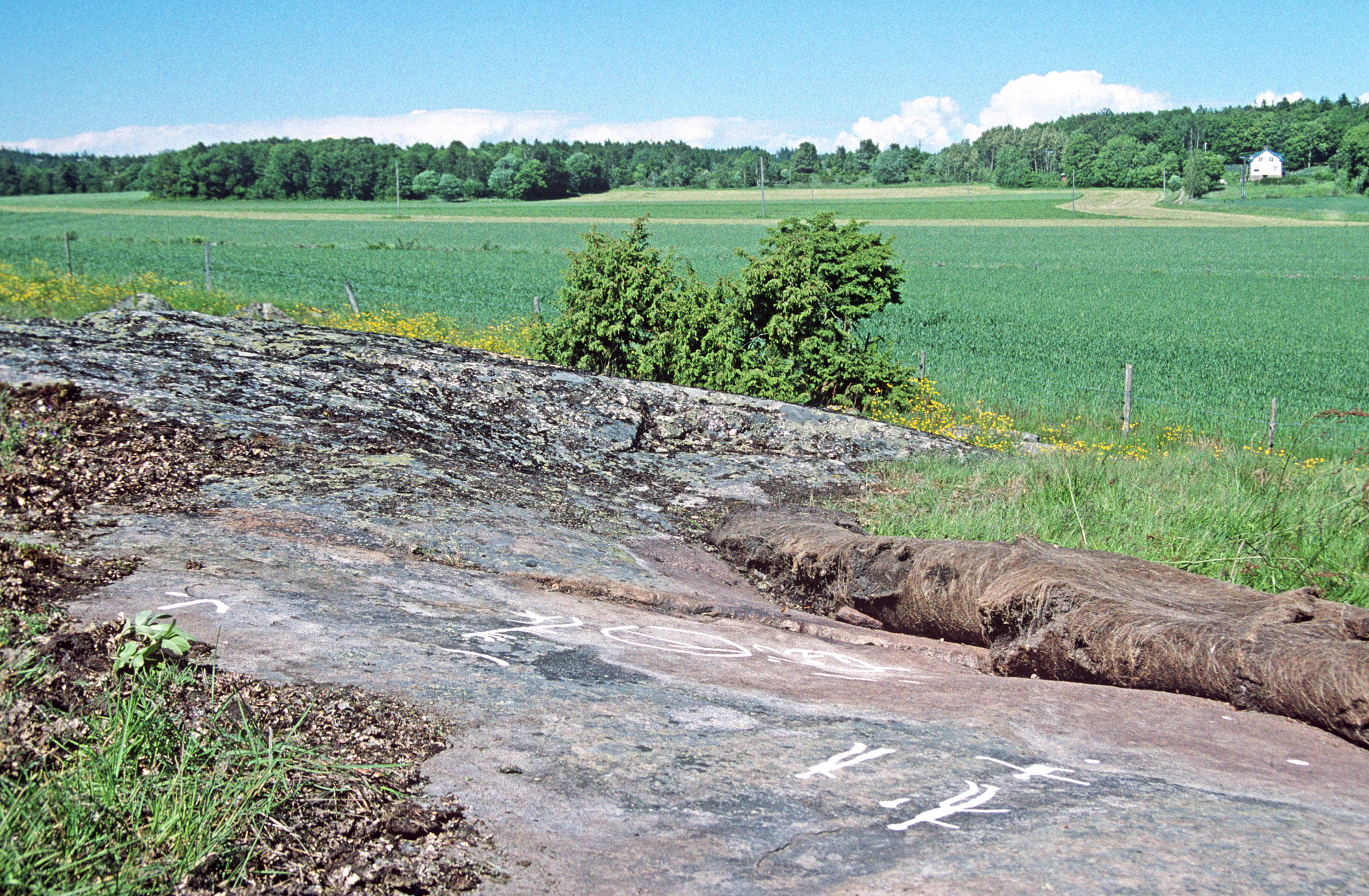 Överby Tossene