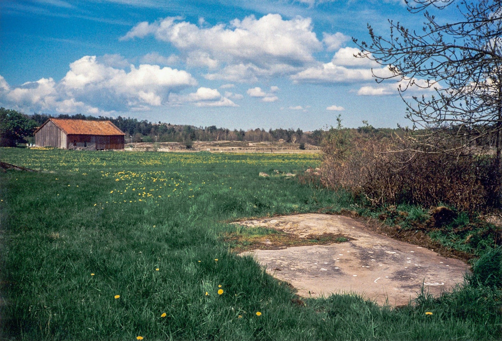 Assleröd Askum