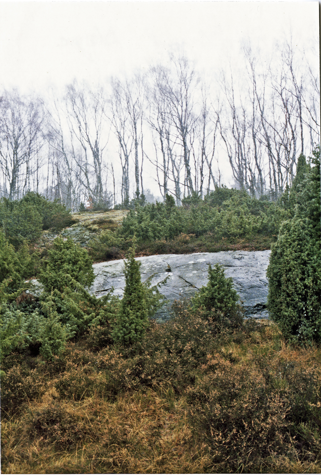 Bråland Valla