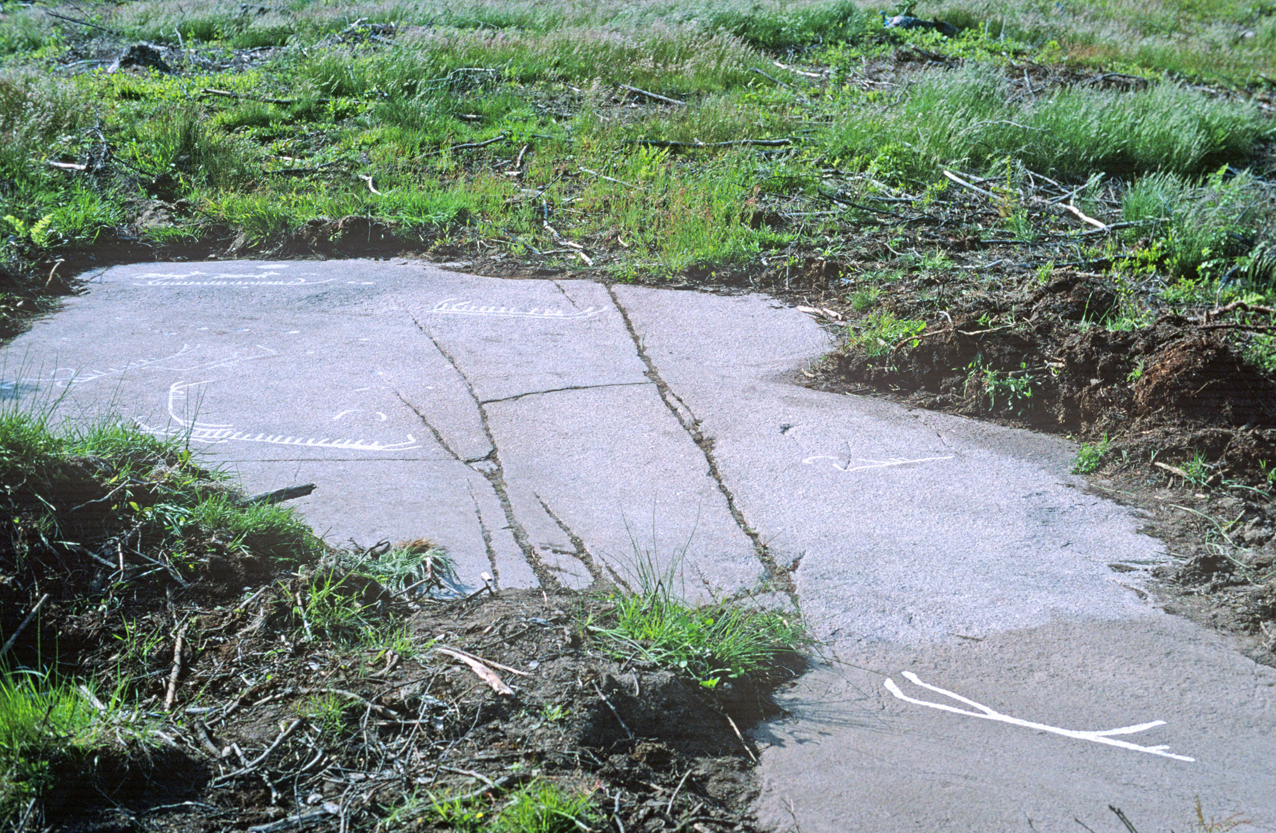 Åby Storholtet Tossene