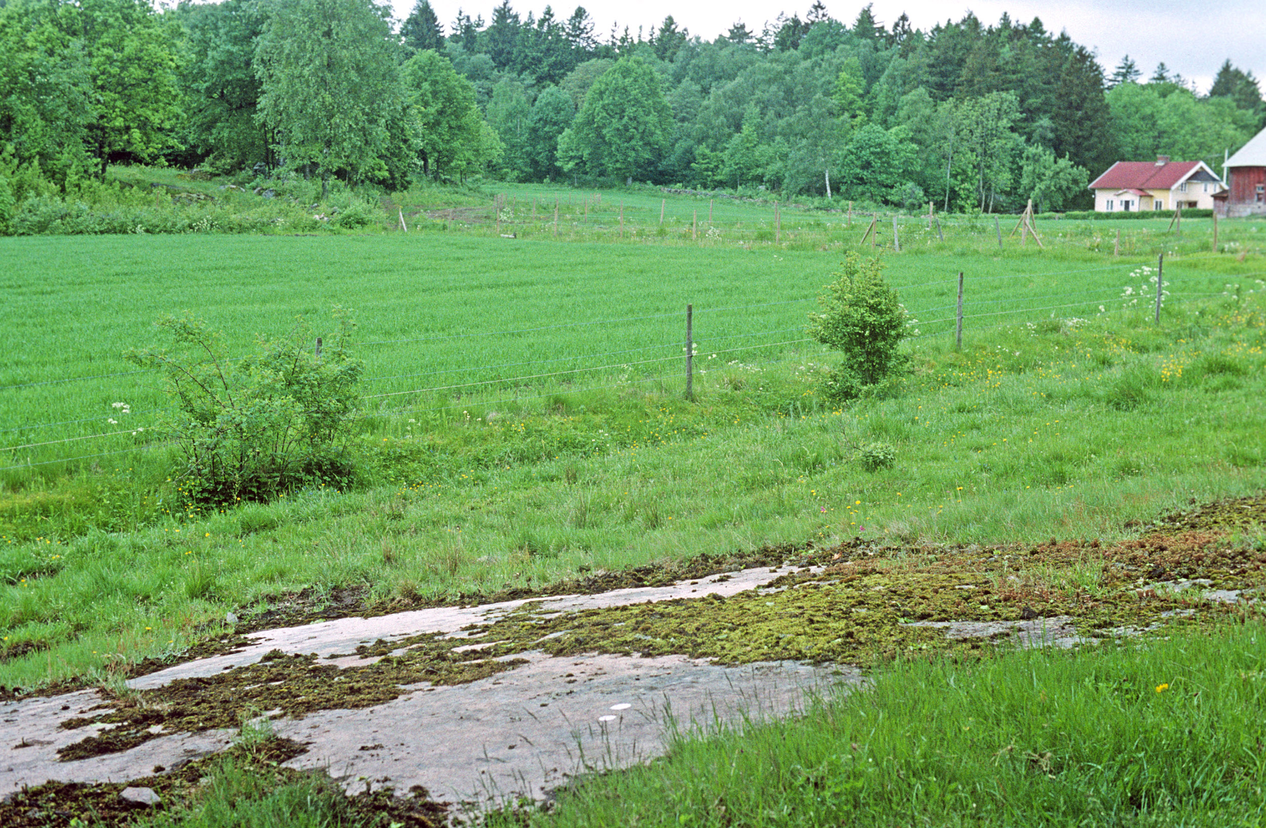 Långön Tossene