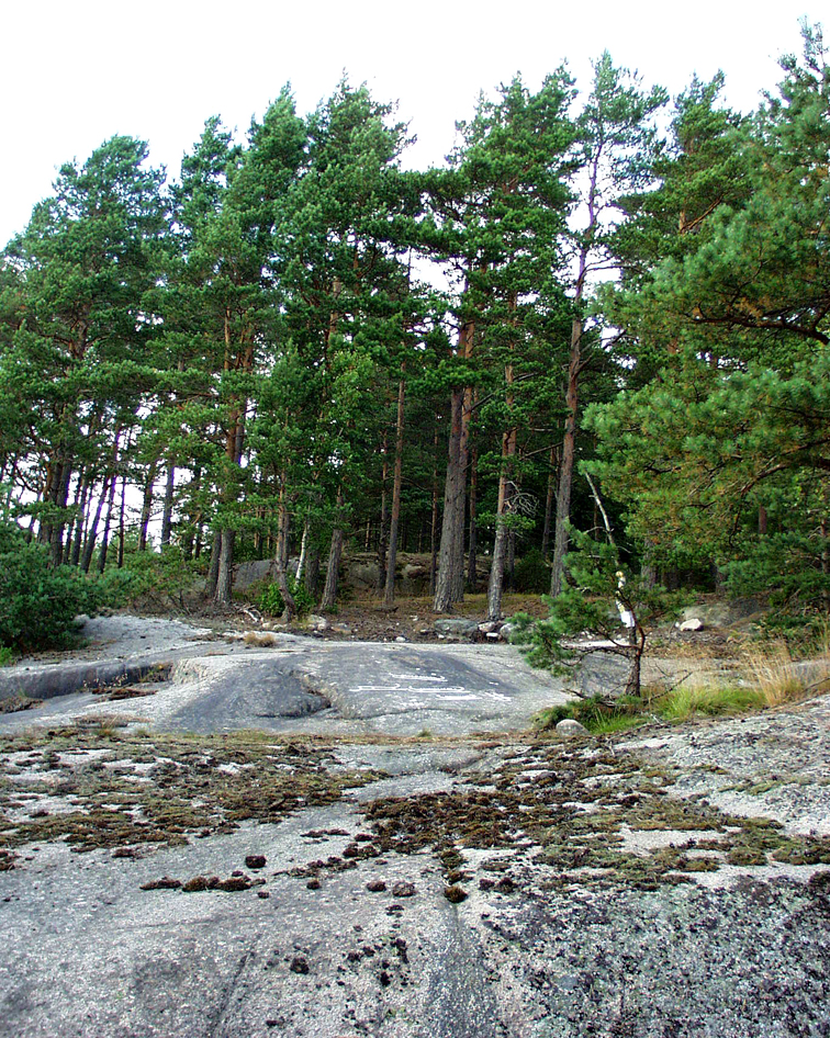 Kyrkoryk Spräcklebäck Tanum