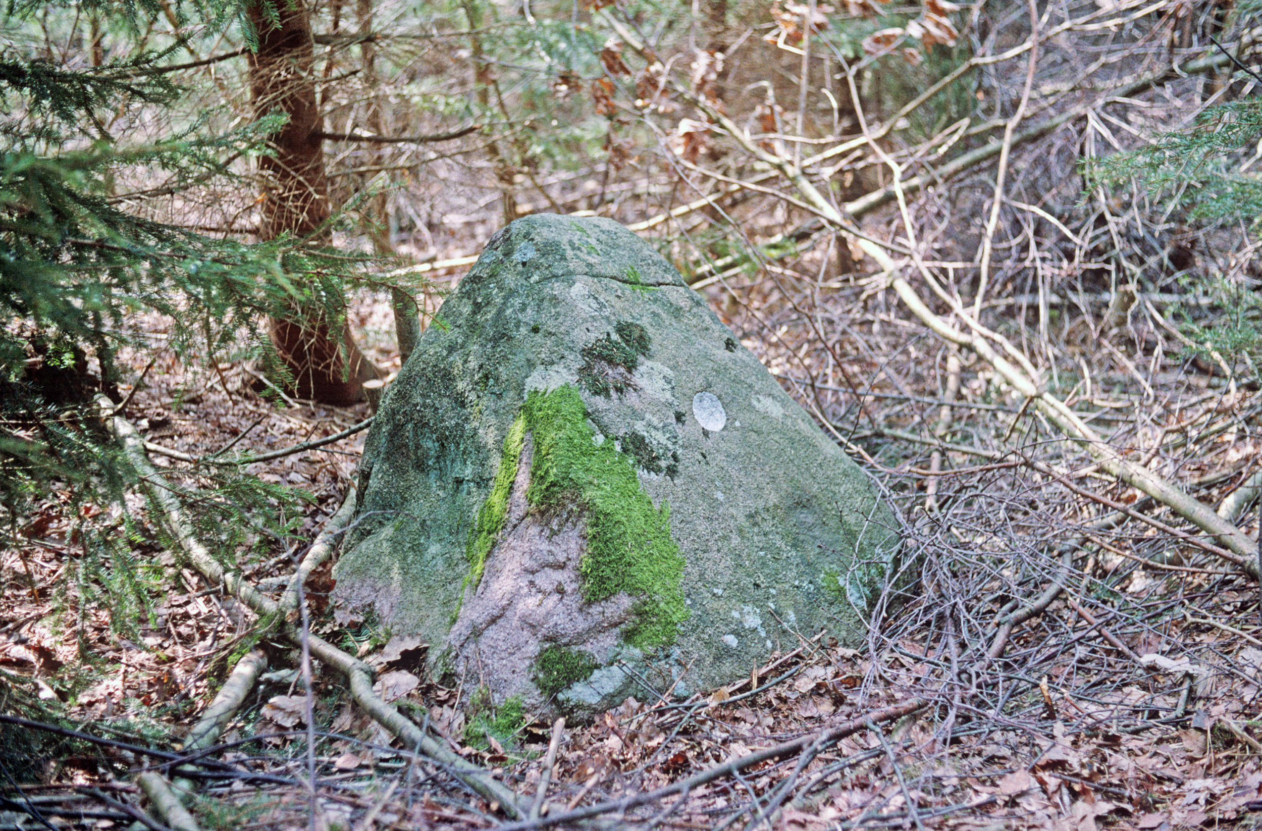 Åby Tossene