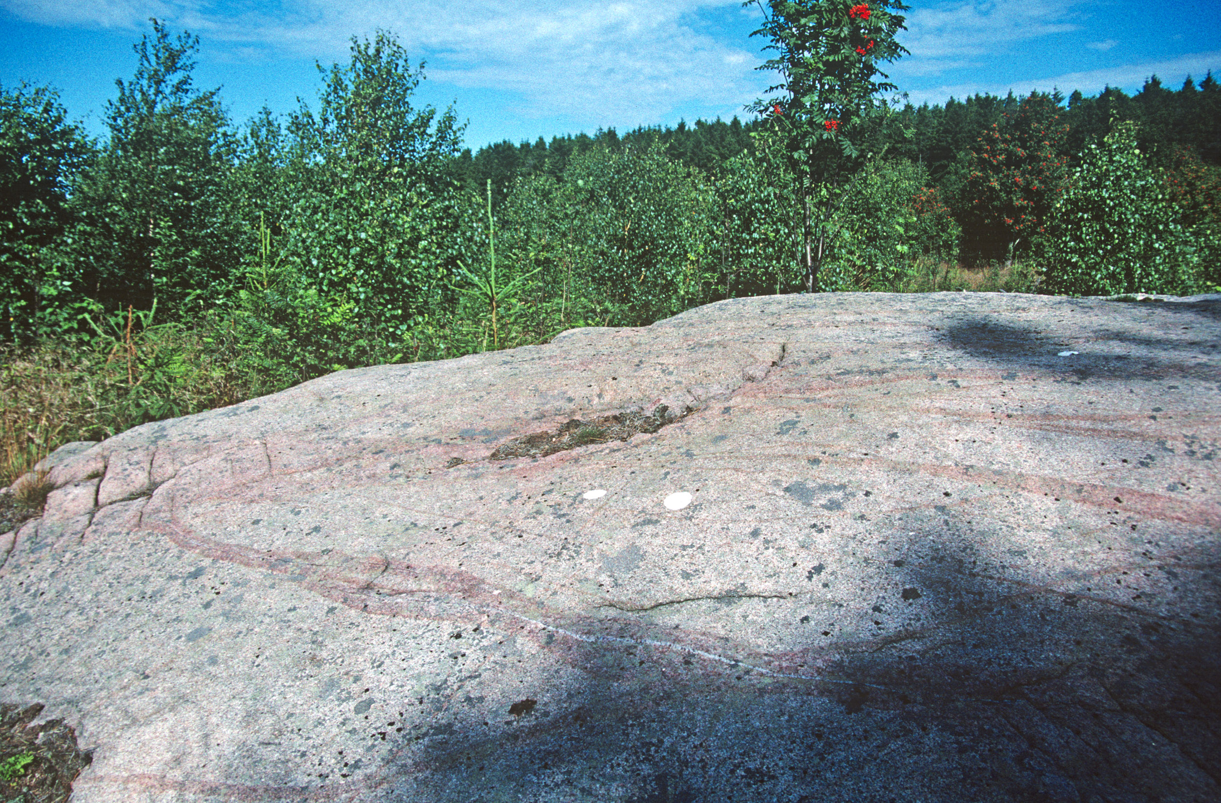 Hogsäm Tossene