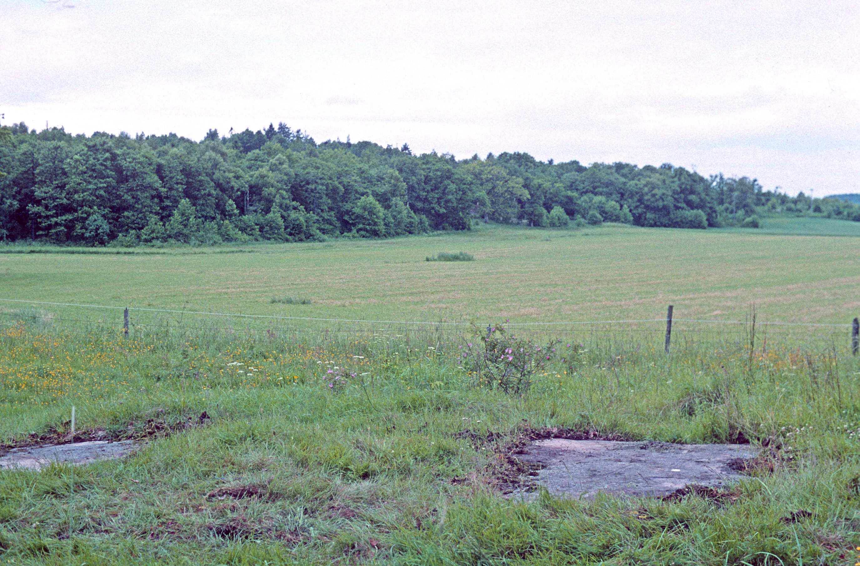 Överby Tossene