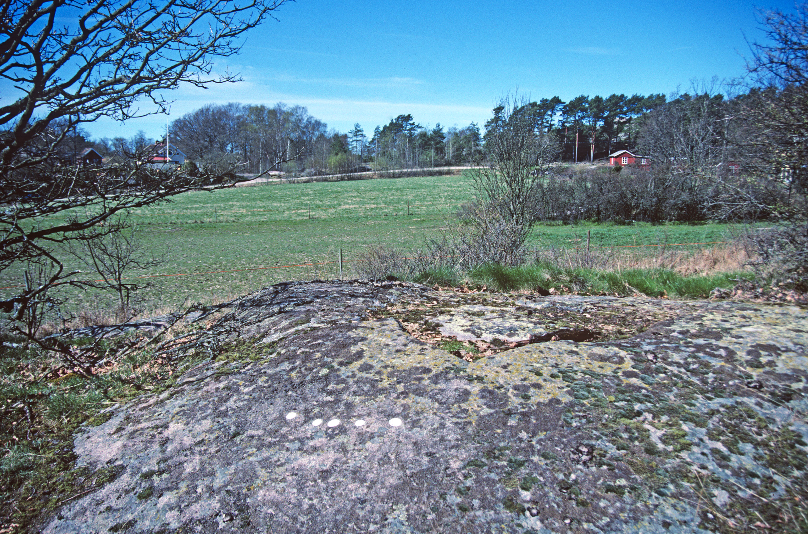 Råghult Tossene