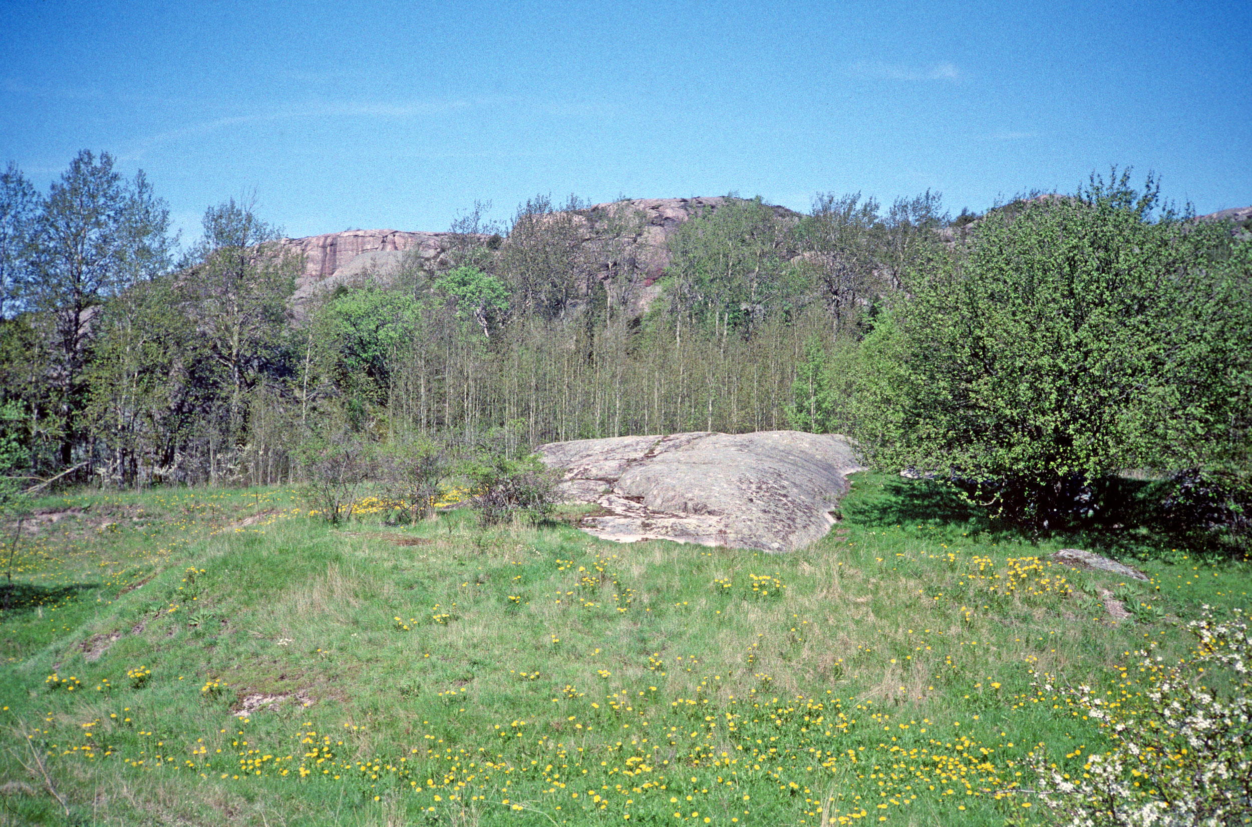 Heljeröd Tossene