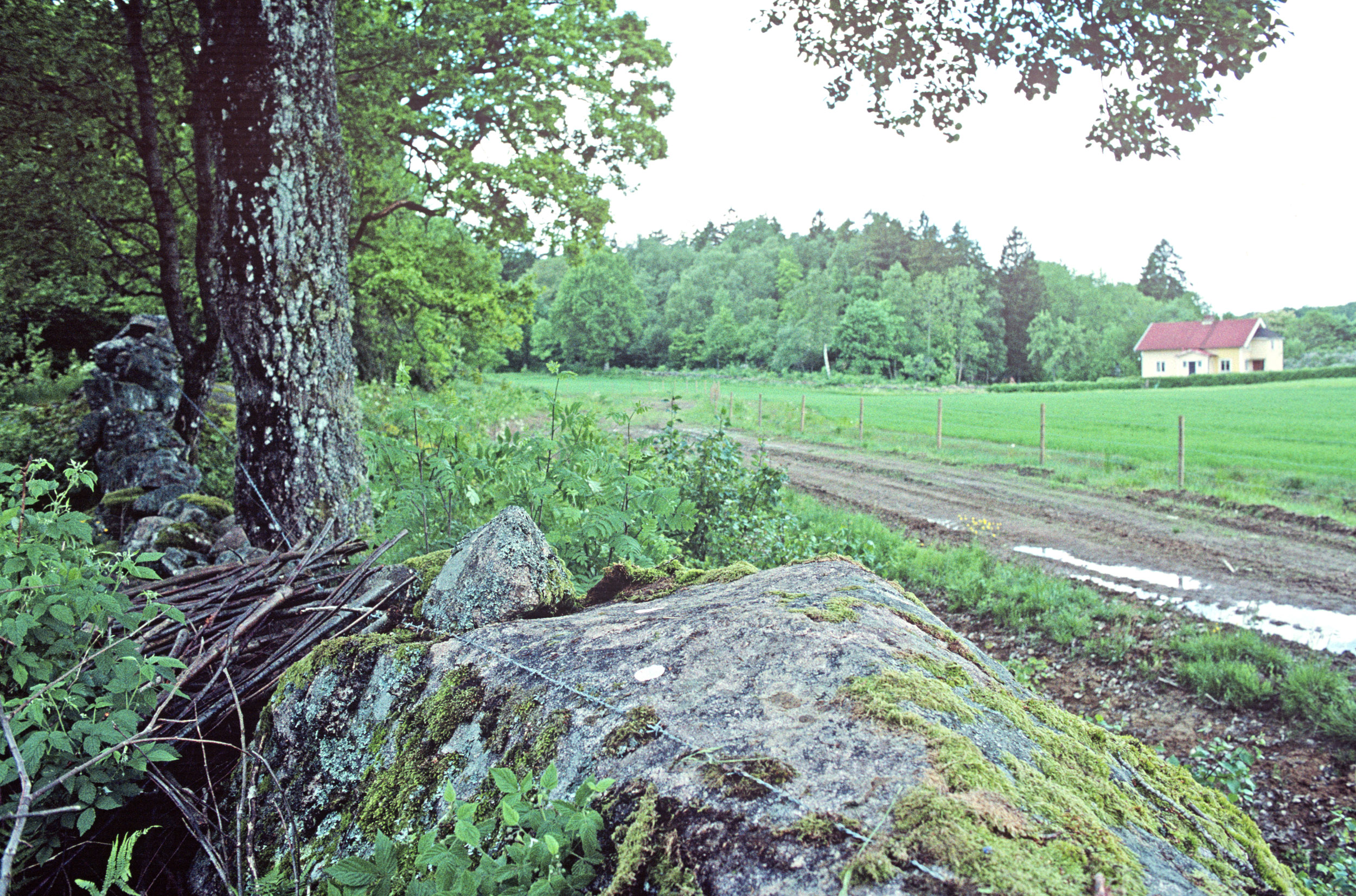 Långön Tossene